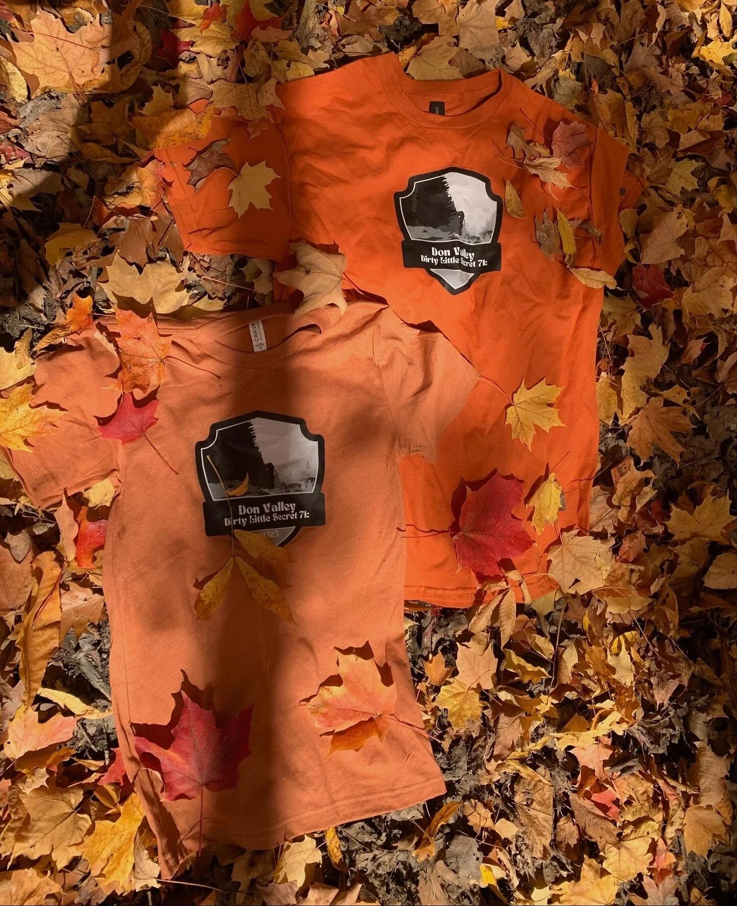 DMWTD has a Dirty Little Secret and we are pretty excited.
This Saturday, November 1st, our 3rd annual Dirty Little Secret 7k trail race is being shared with 125 trail runners, 30 volunteers, and our friends and families.
We have amazing prizes fro