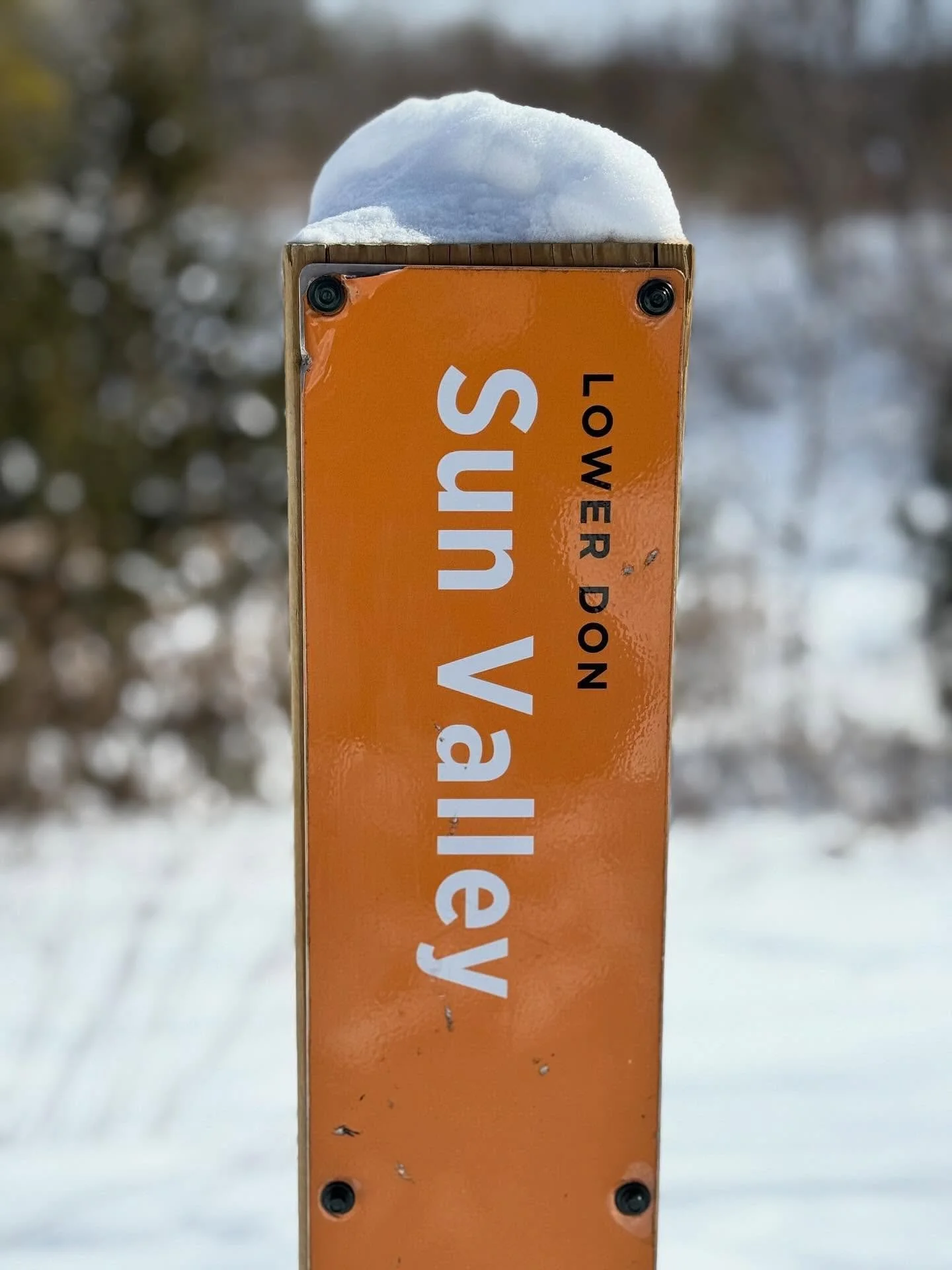 ☃️ Snow Falls on Sun Valley ☃️

Beautiful Downy Hawthorns are frosted by the first snow. A few precious berries remain as food for wintering brrrds.

Sun Valley and the Don are remarkable in any season and so are our stewards. Planting in the spring 
