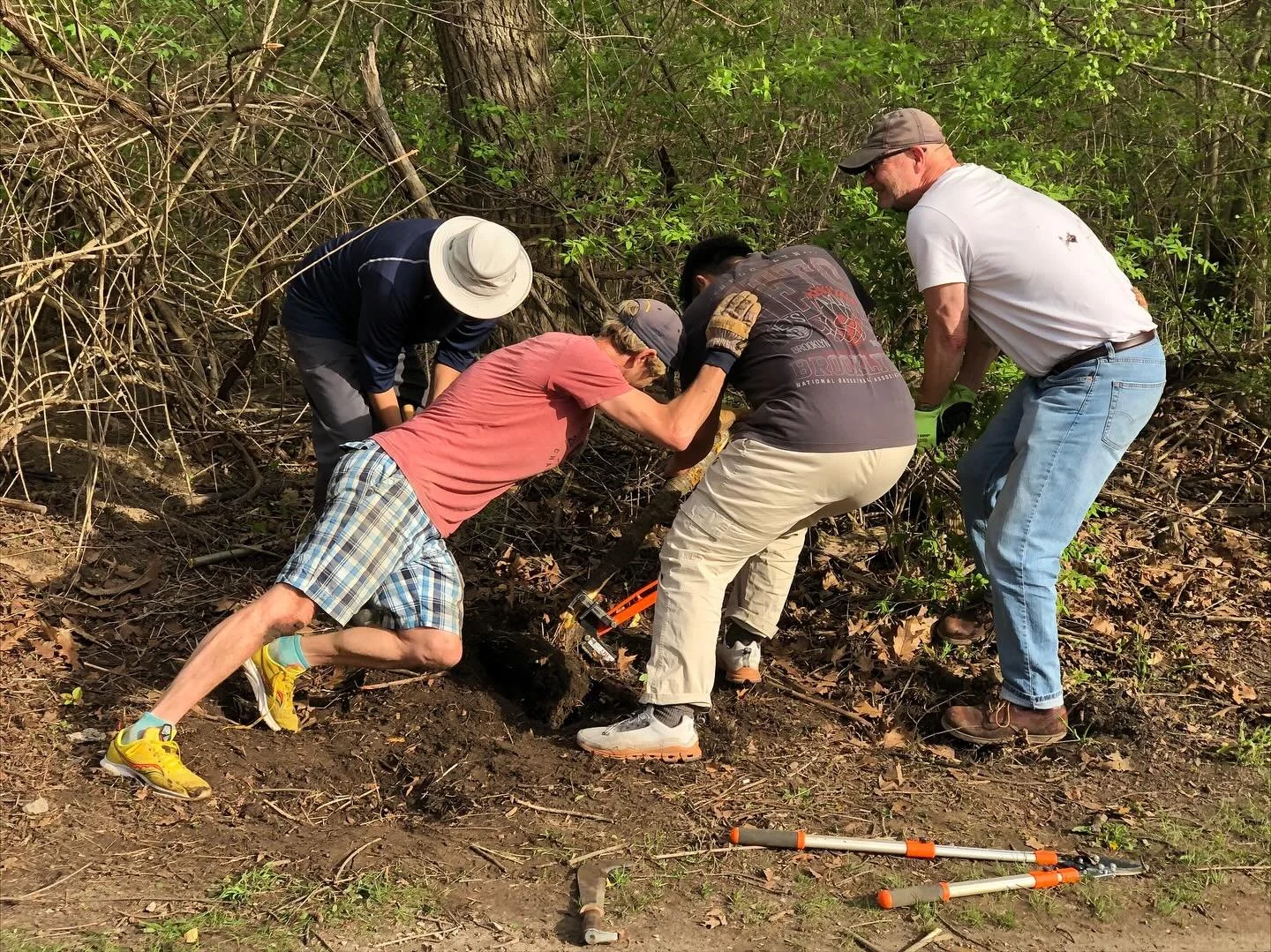 💪 8000+ Invasive Buckthorn removed 💪

Toronto Nature Stewards (@torontonaturestewards) and DMWTD have spent the past three years in Sunnybrook Park in partnership to remove invasive Buckthorn that is incredibly damaging to forests in Toronto and th