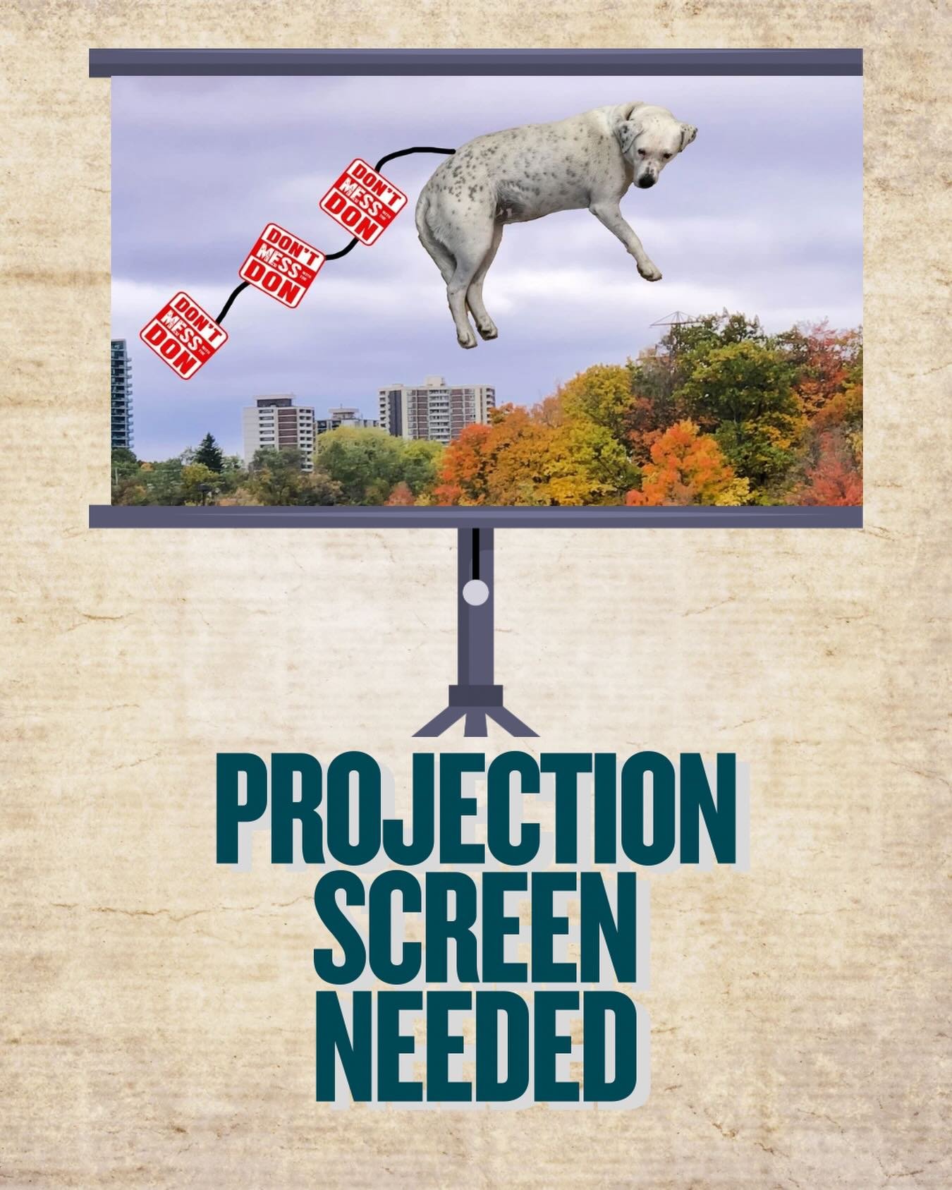 DMWTD is so excited for our upcoming Year End Celebration on November 29th at the Brickworks.

As you can imagine there are so many moving pieces and things to do and almost everything is ready. We are looking for help with one very pressing need - A