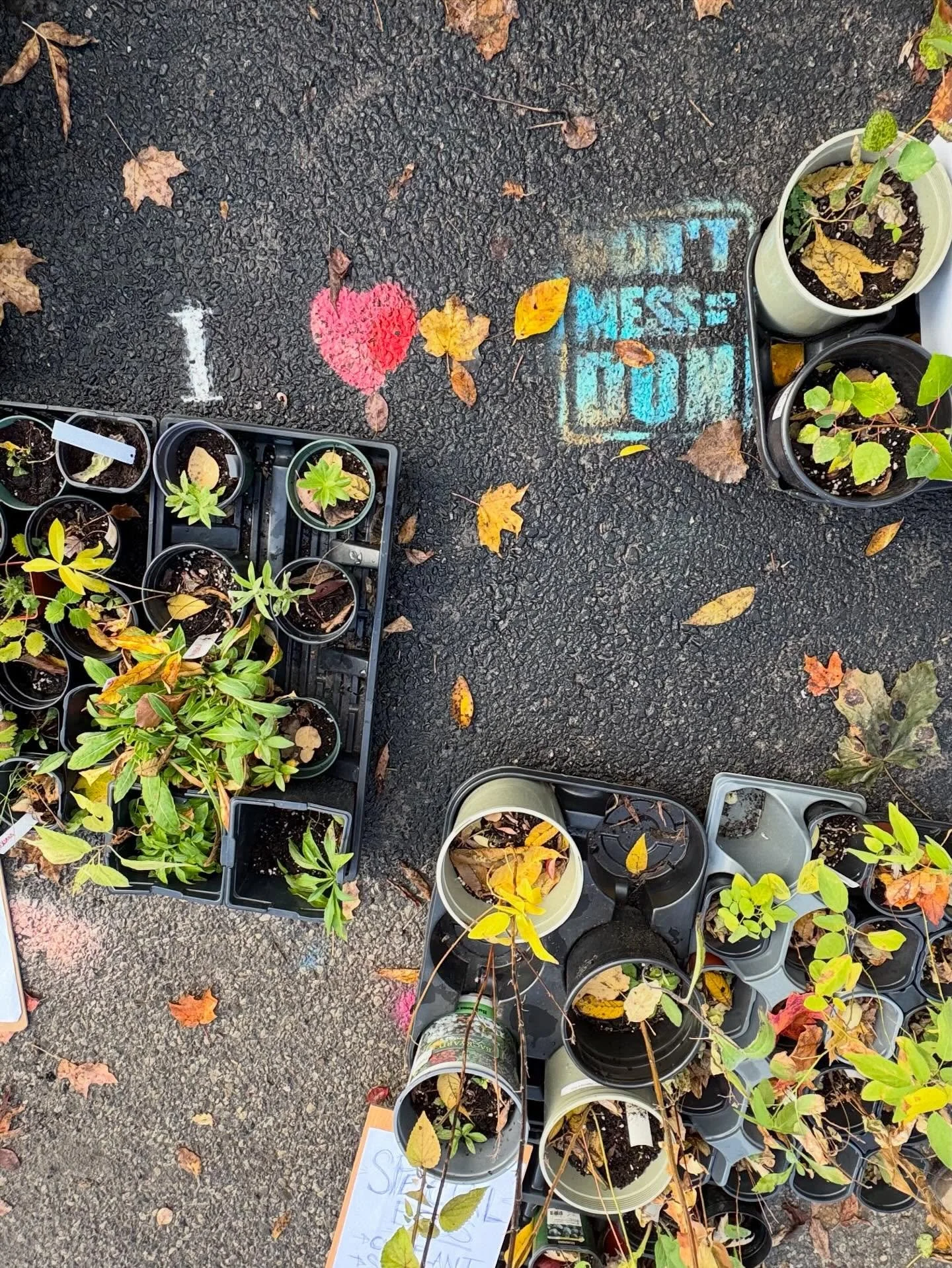 A very important part of DMWTD's mission is to break down barriers to participation. Access &amp; Equity are fundamental to our mission. All DMWTD programs are free to everyone all the time. That means access to kayaks, mtn bikes, paddle boards, kids