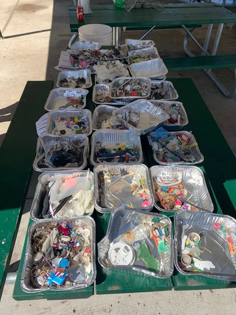 Today DMWTD partnered with hundreds of Kew Beach PS students, amazing teachers and awesome parent volunteers who cleaned thousands of plastics and really really tiny plastics from the beaches of Ashbridges Bay.

Kew Beach, you were amazing and inspir