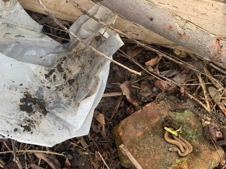 Yes, today DMWTD volunteers cleaned over 1700 pounds of trash from the Don Valley and Christie Pits (in partnership with Toronto Nature Stewards @torontonaturestewards). That is amazing and we want to talk about all of it but here we will talk about 