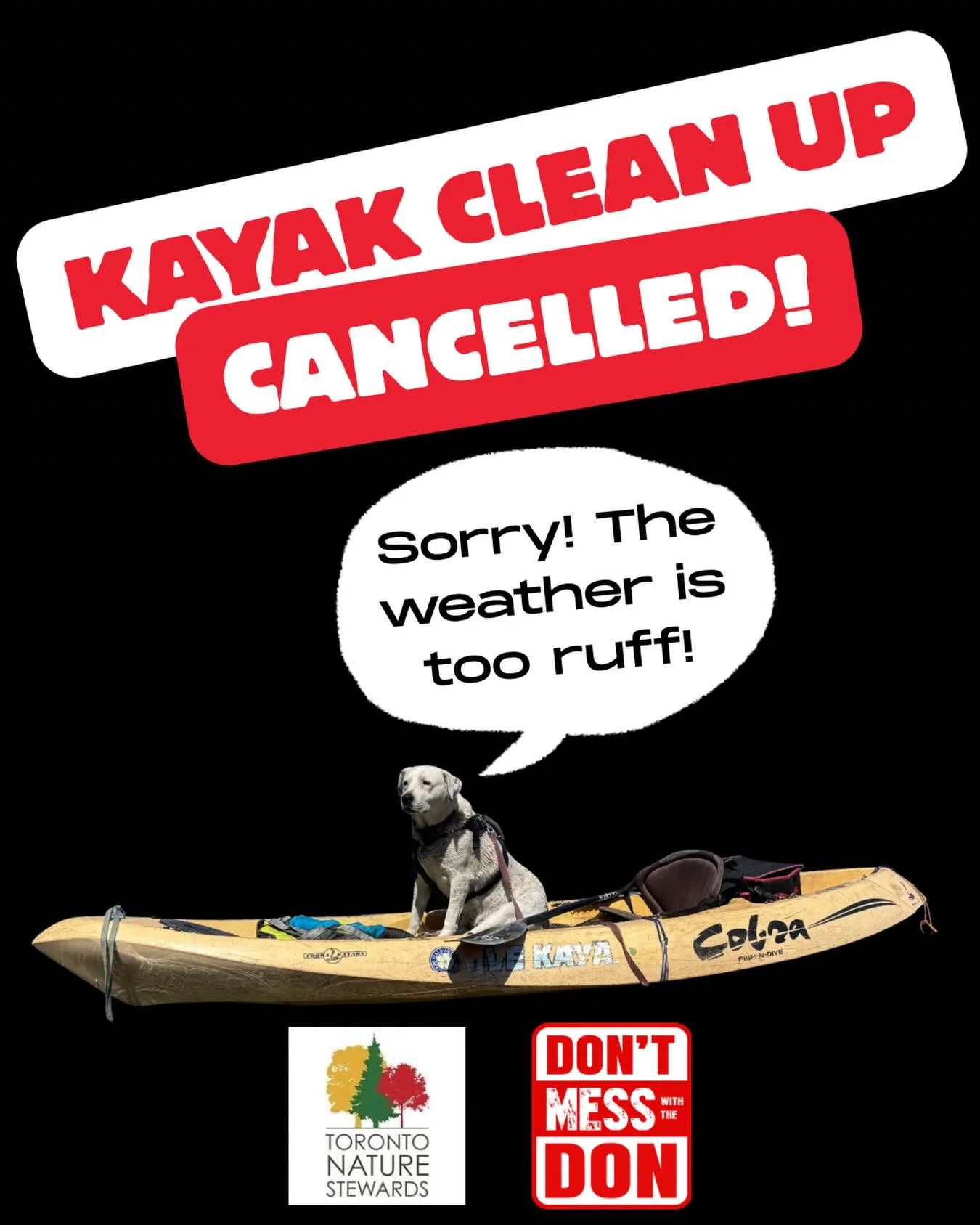 Hi Everyone 👋 

Unfortunately due to the rain ☔️ and high winds 💨 forecasted for tomorrow we are cancelling the kayak and land clean up scheduled for Cherry Beach and Tommy Thompson Park. We are going to reschedule this great event.

DMWTD has had 