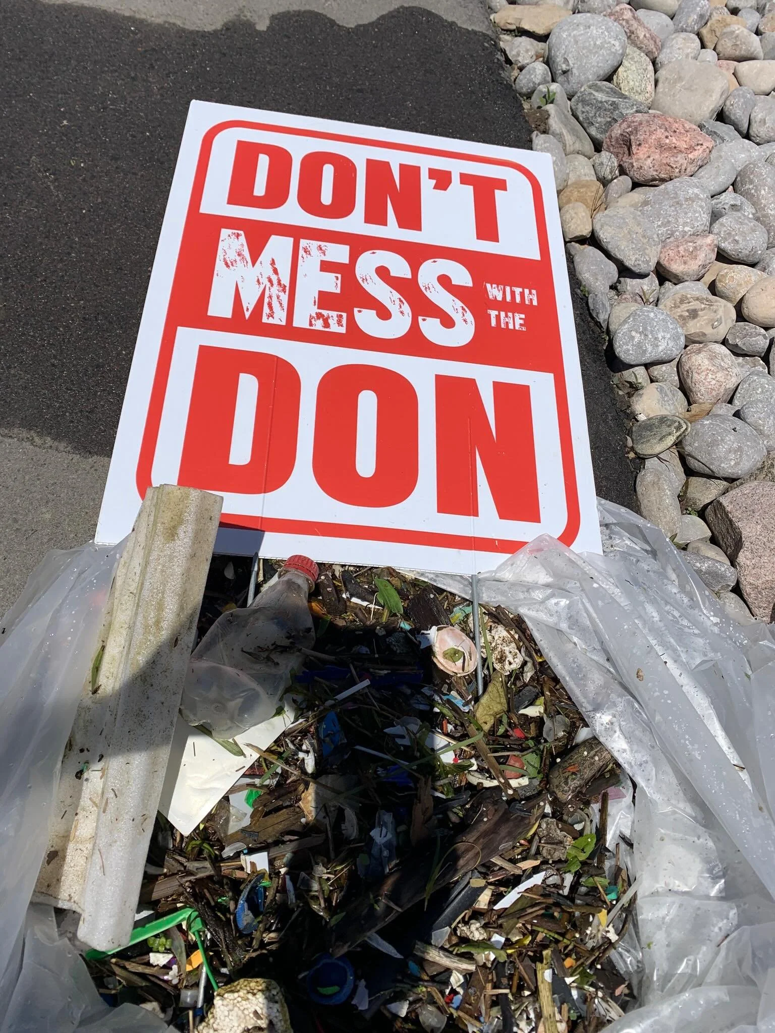 This is Biidaasige Park today. DMWTD did a kayak clean up in Biidaasige as part of Toronto Tech Week. An absolutely beautiful park shining with incredible native plants, fanciful art and joyous play areas. The Don River's new water course is wonderfu