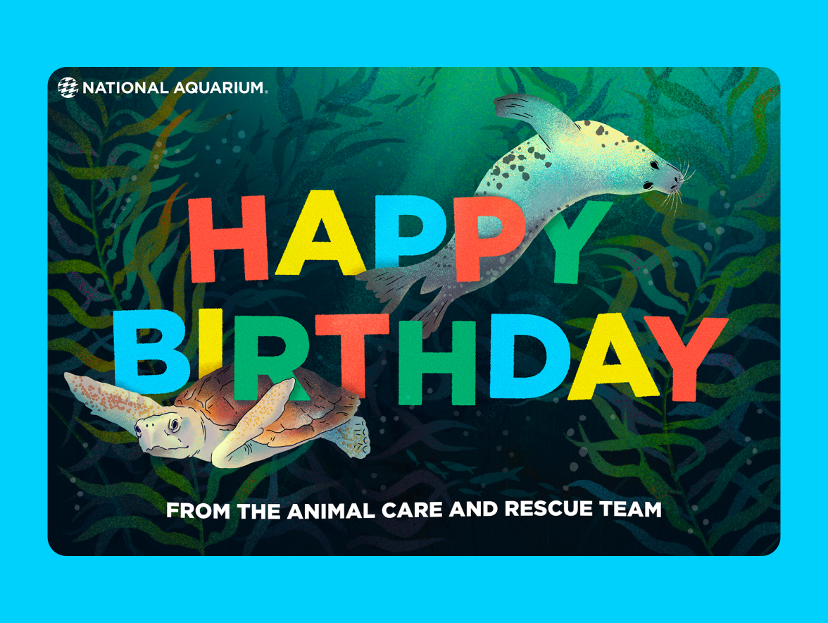 National Aquarium Illustration