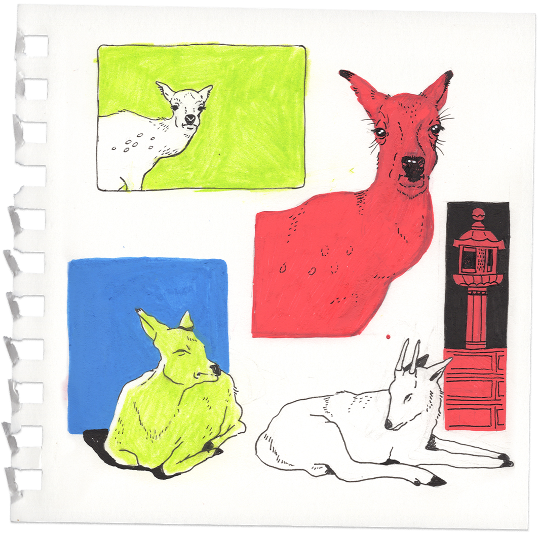 sketchbook_0001_Layer-4.png