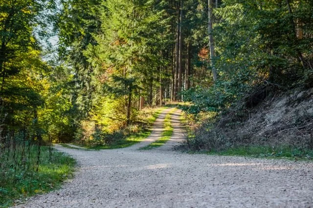 Two different paths