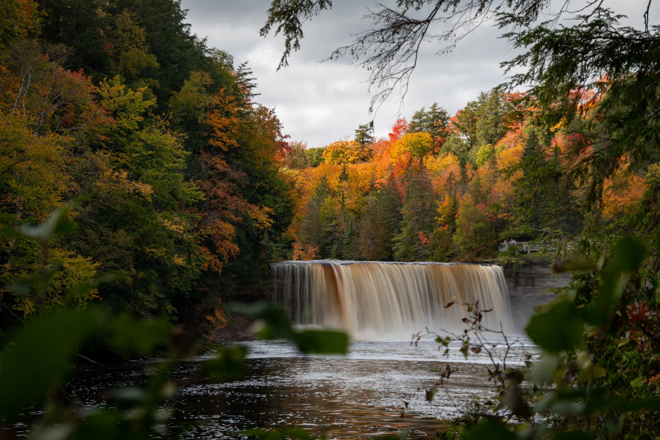 _DSC4584.jpg