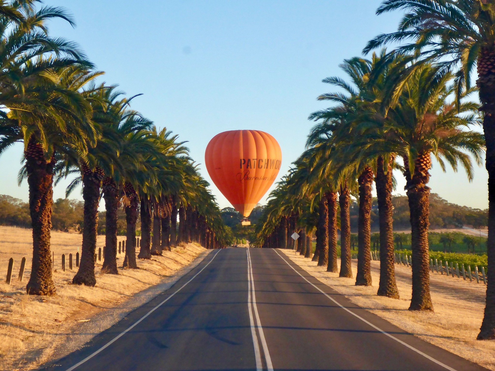Experience hot air ballooning in the Barossa Valley