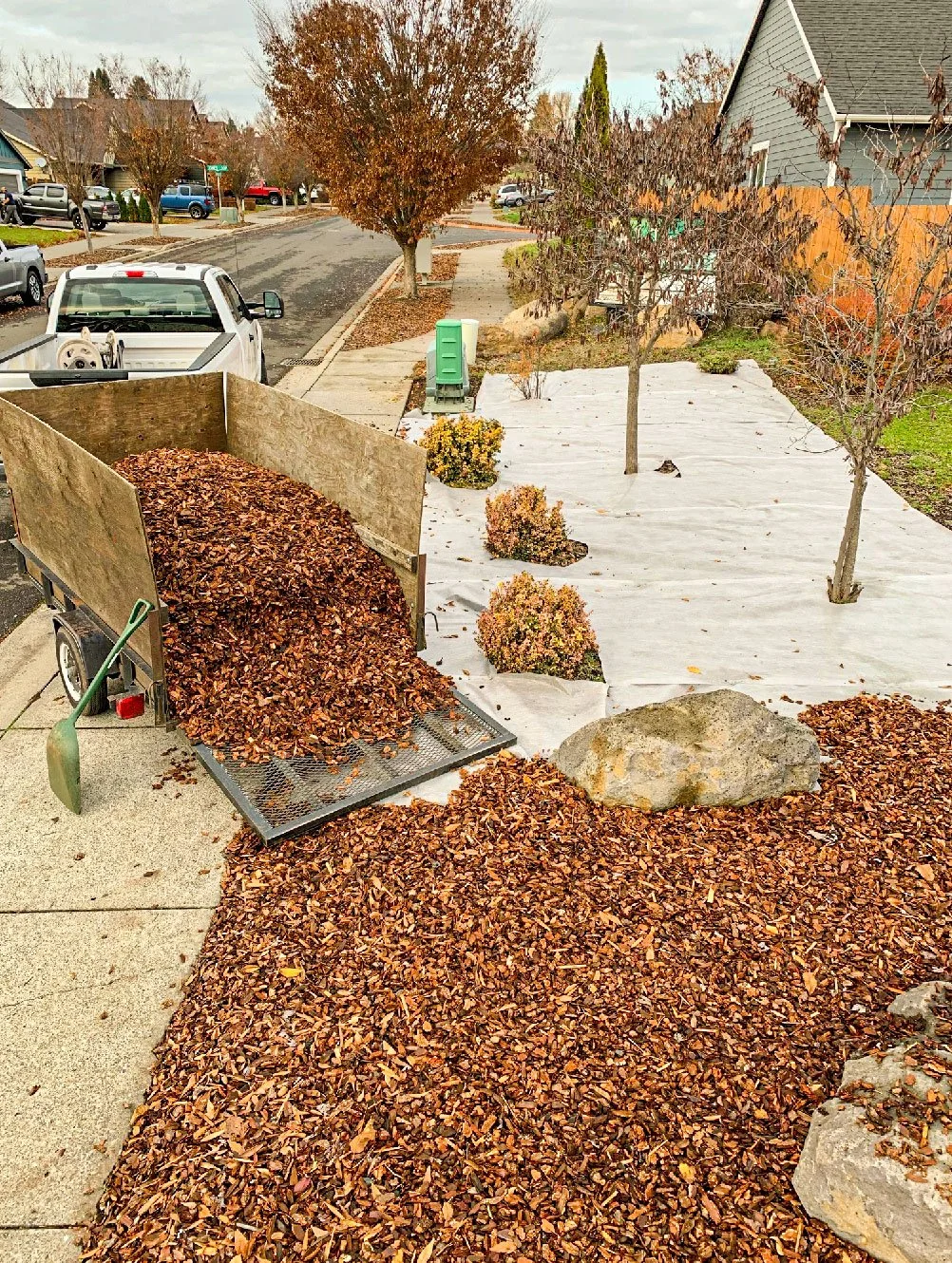Mulch.jpg