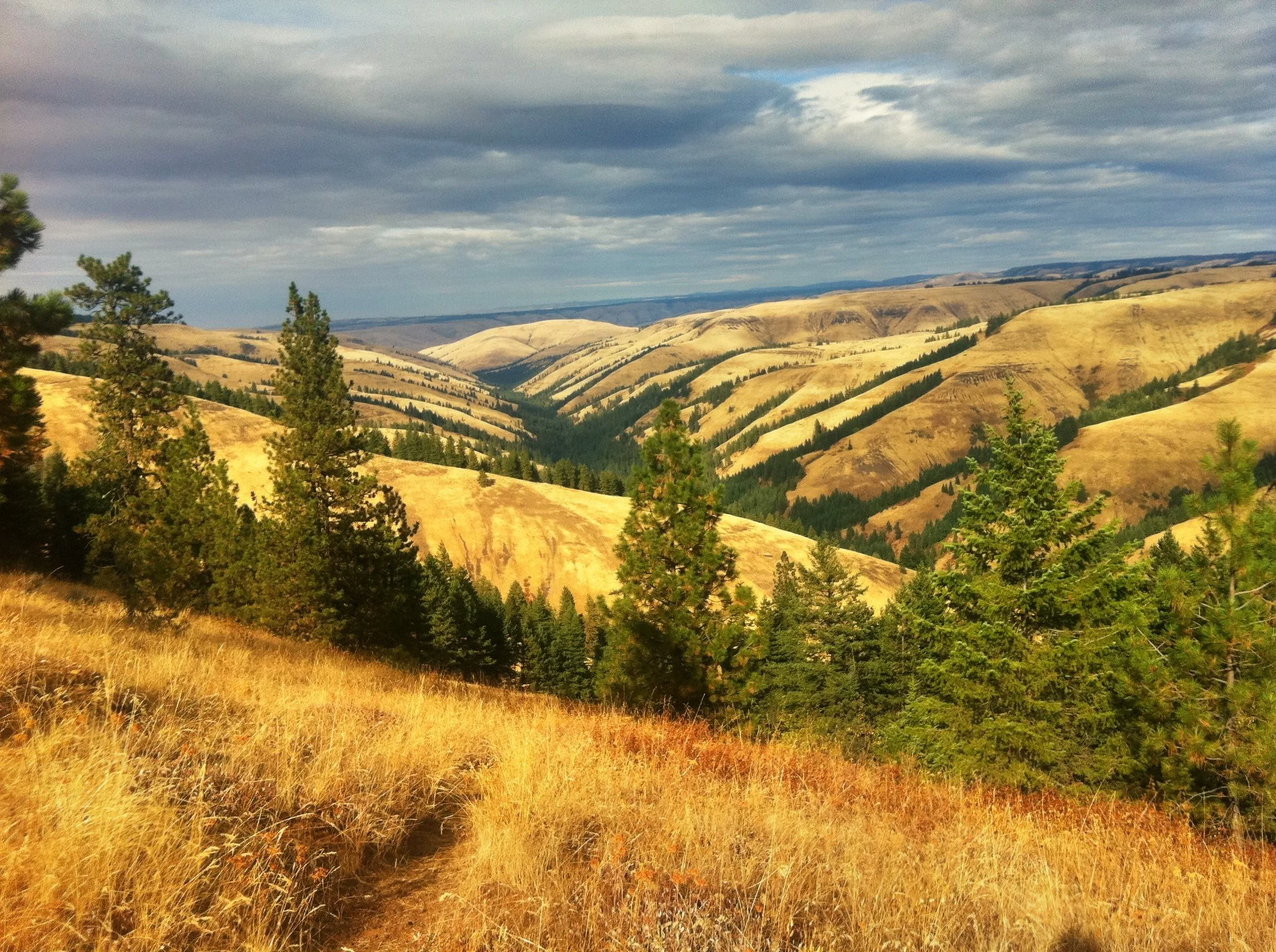 MusicOregon Listening Tour: Pendleton