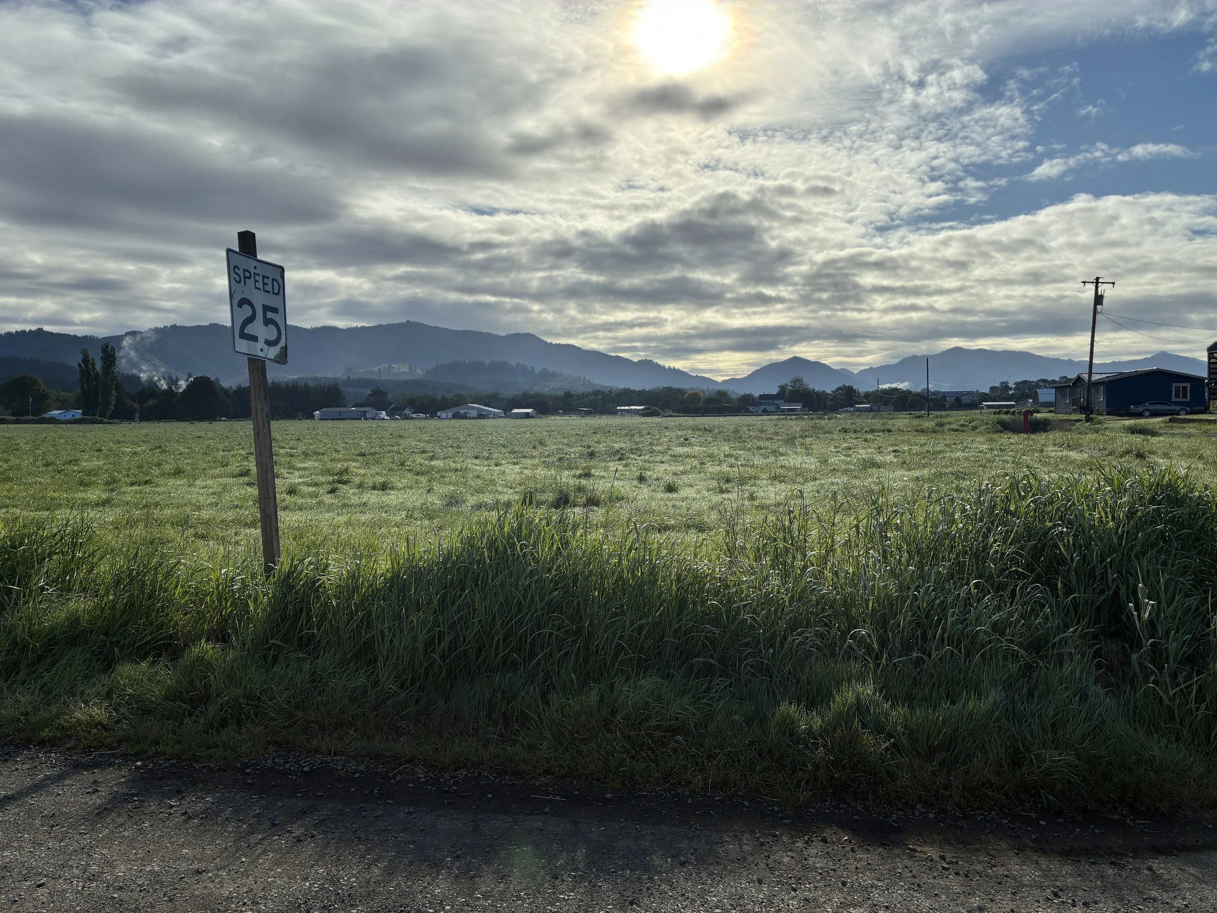 20260519_Tillamook landscape.JPG