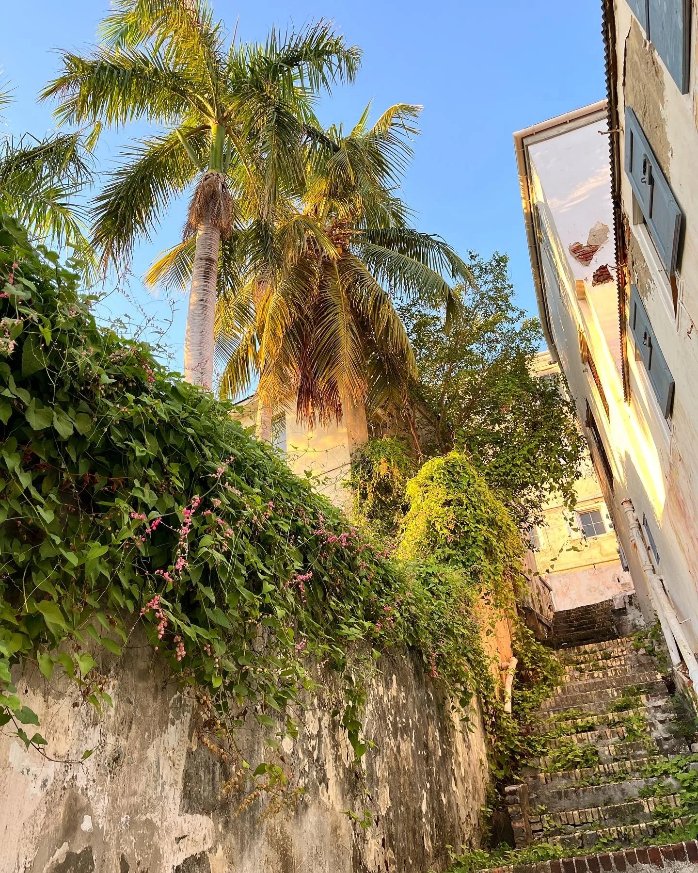 Virgin Islands