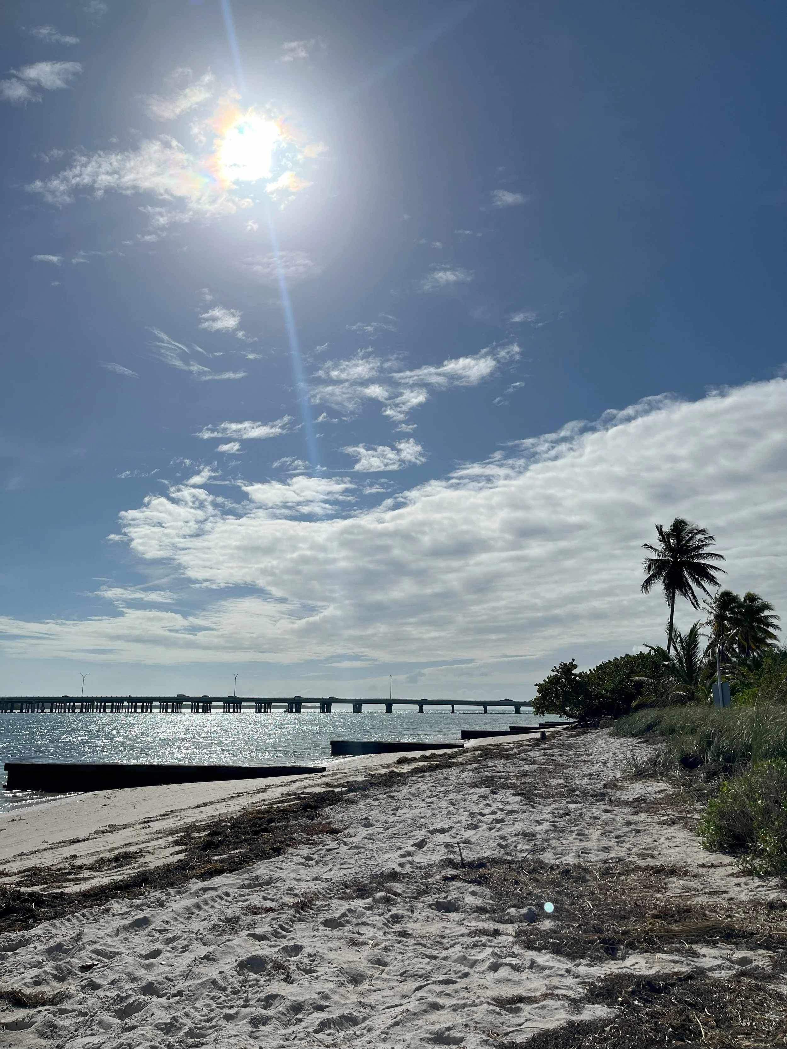 First Black Beach in Miami