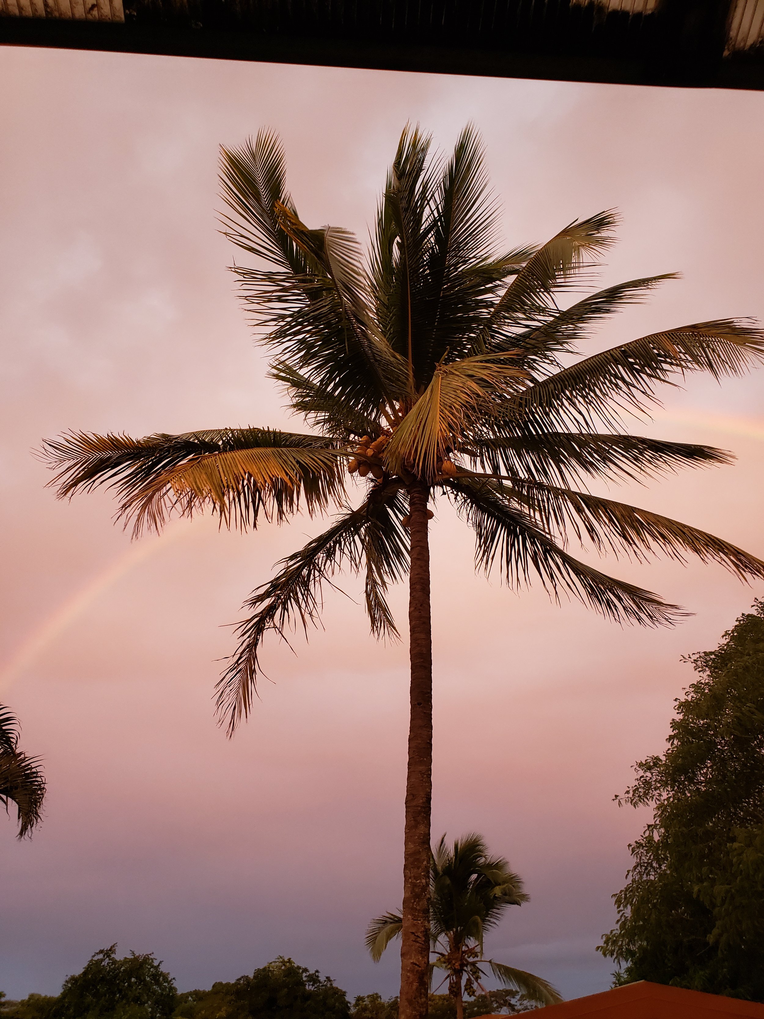 Costa Rica Skies
2019
Photograph