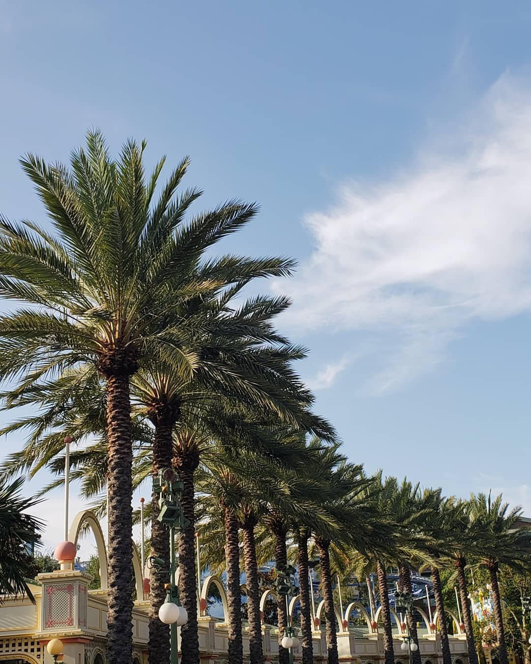 CA Disneyland Boardwalk
2018
Photograph