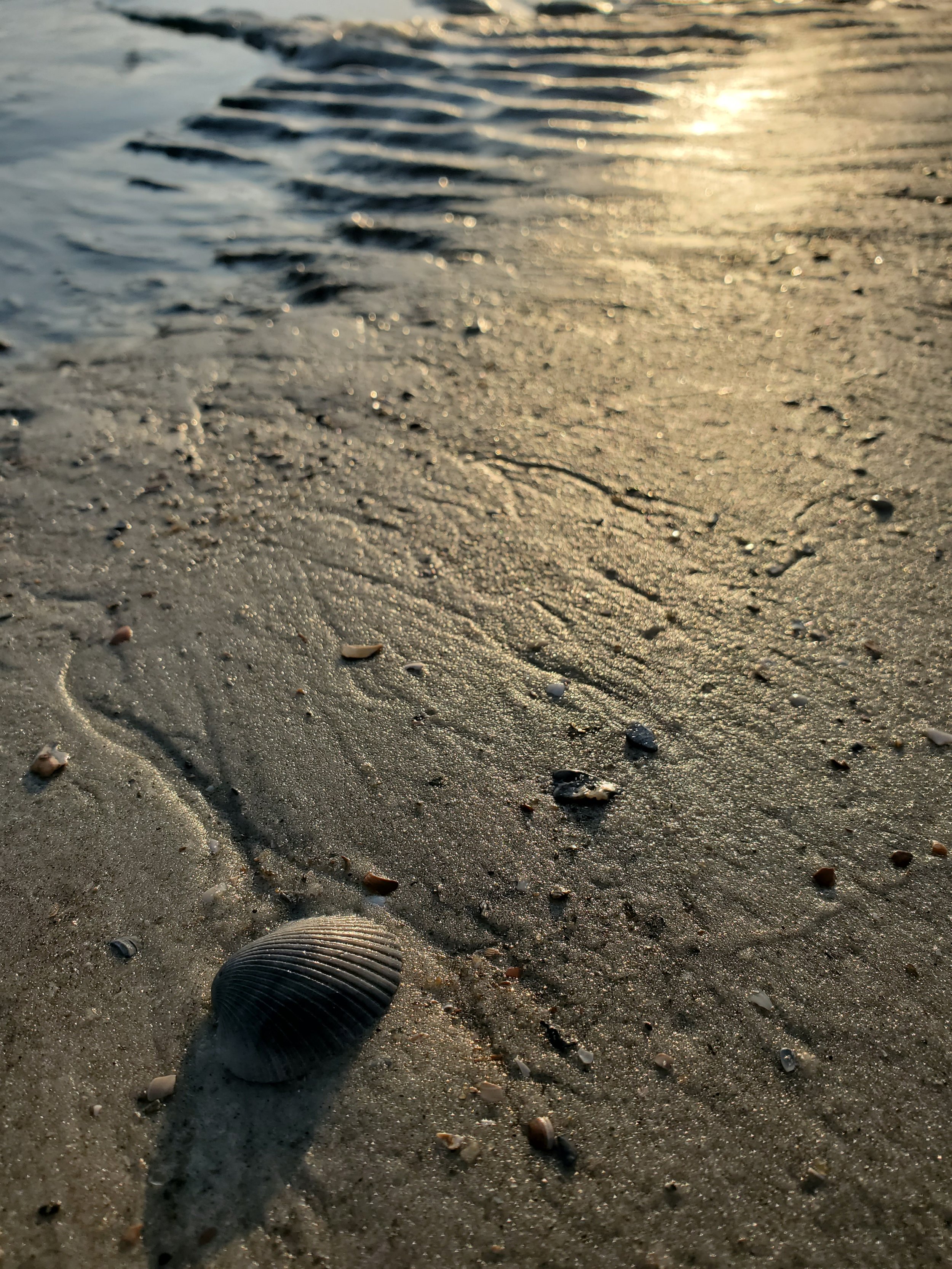 Reflections
2022
Photograph