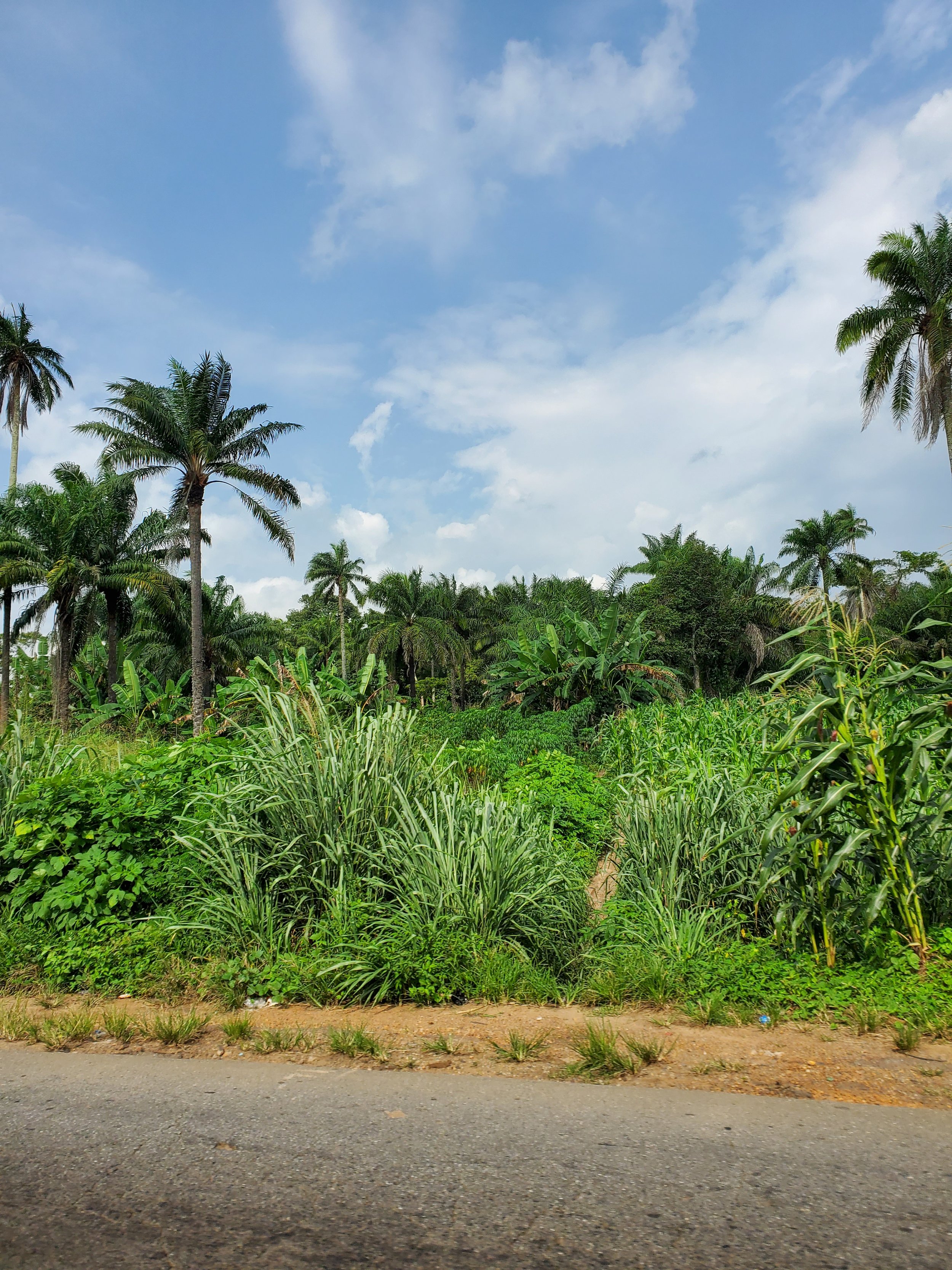Lagos to Osogbo 001
2022