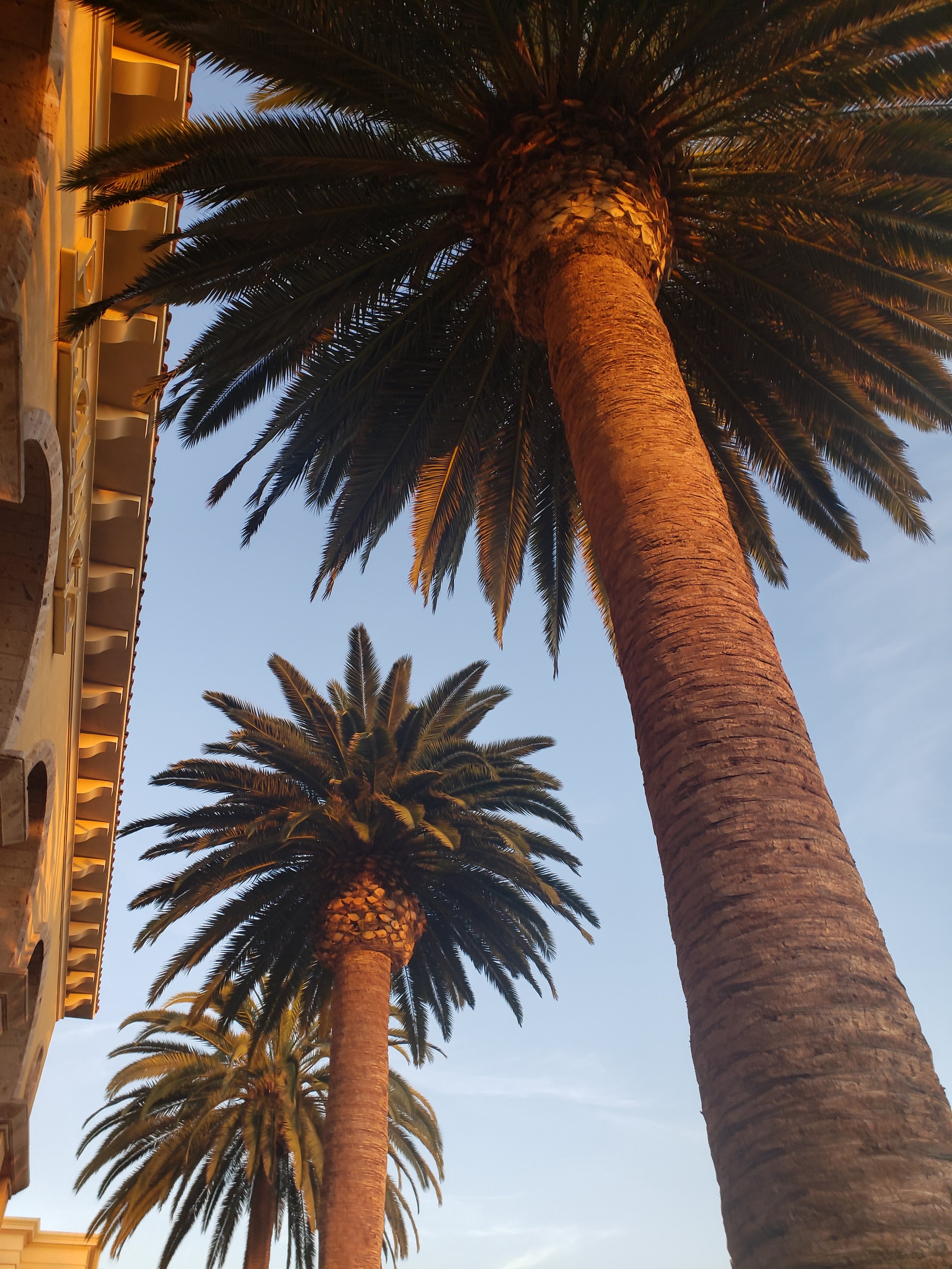 California Sunset Strolls 3.0
2019
Photograph