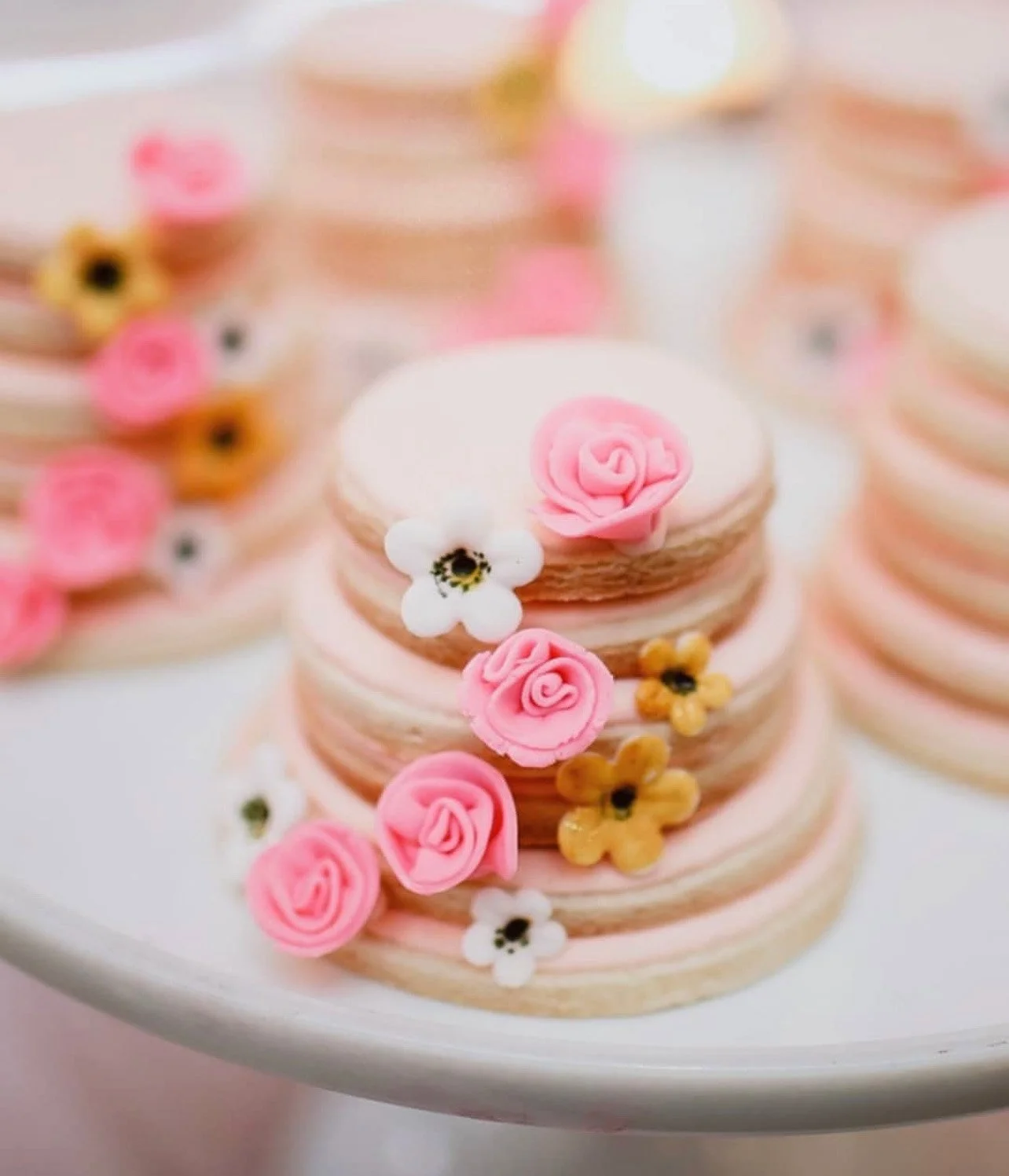 photo sep 20, 2 30 11 pm.jpg