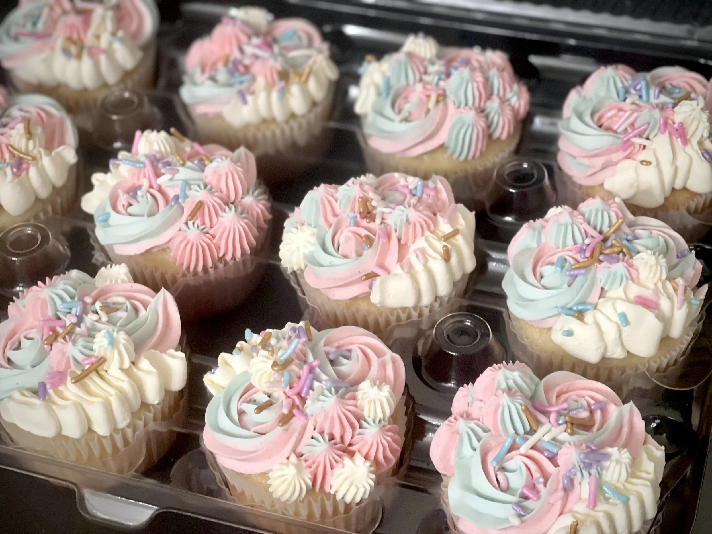 photo sep 24, 4 22 53 pm.jpg