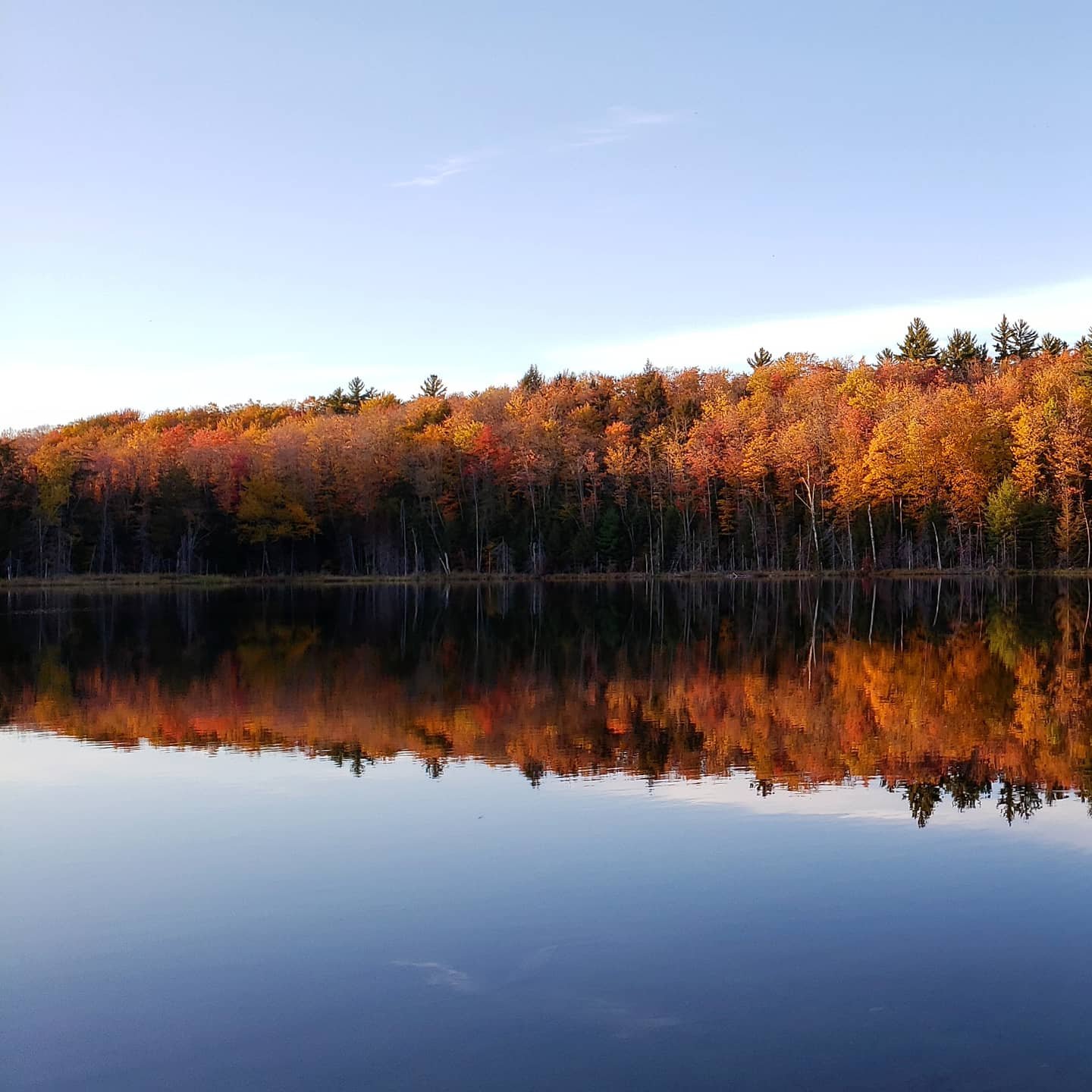 up favorite camp fall.jpg