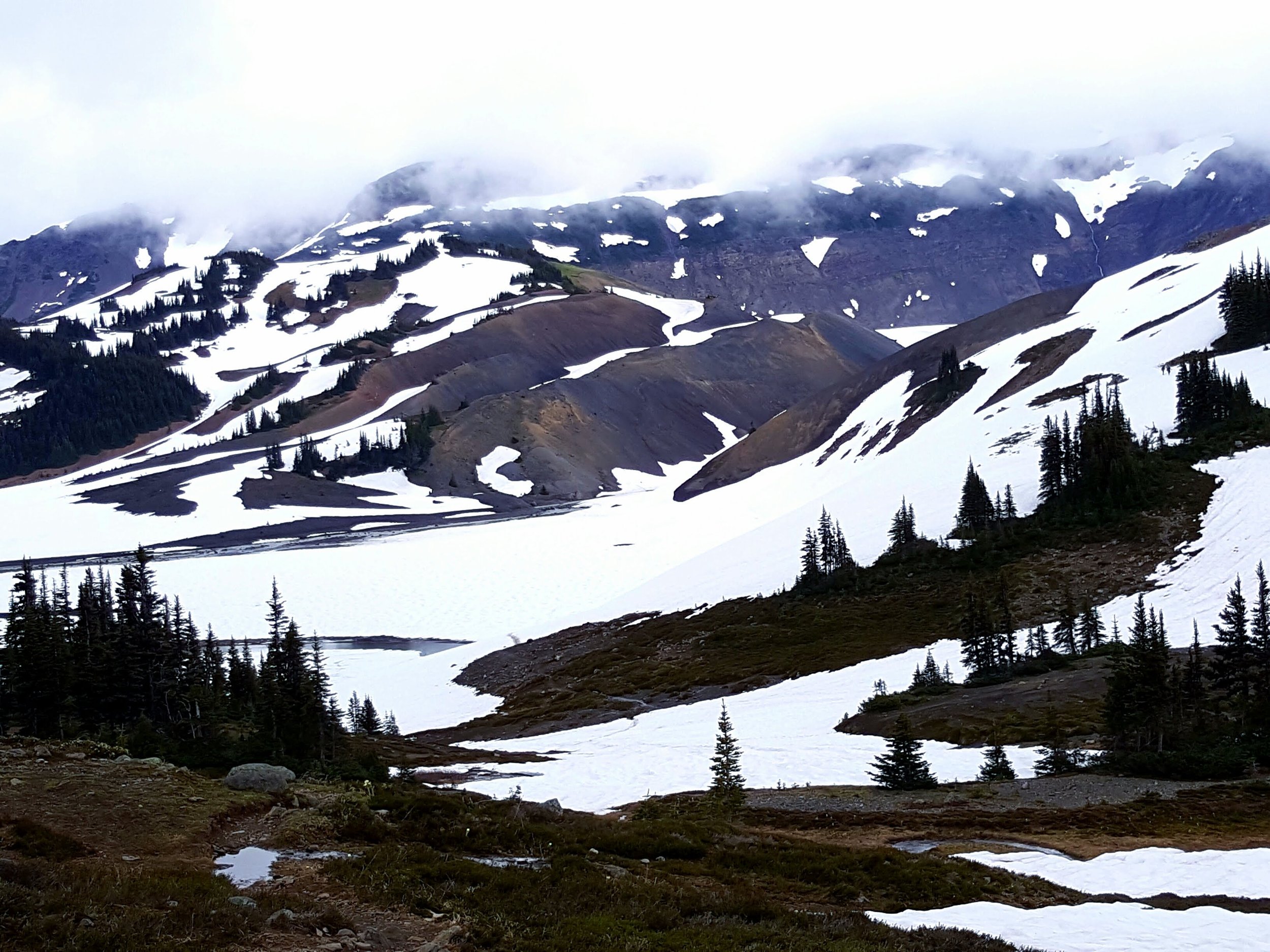 Panorama Ridge.jpg
