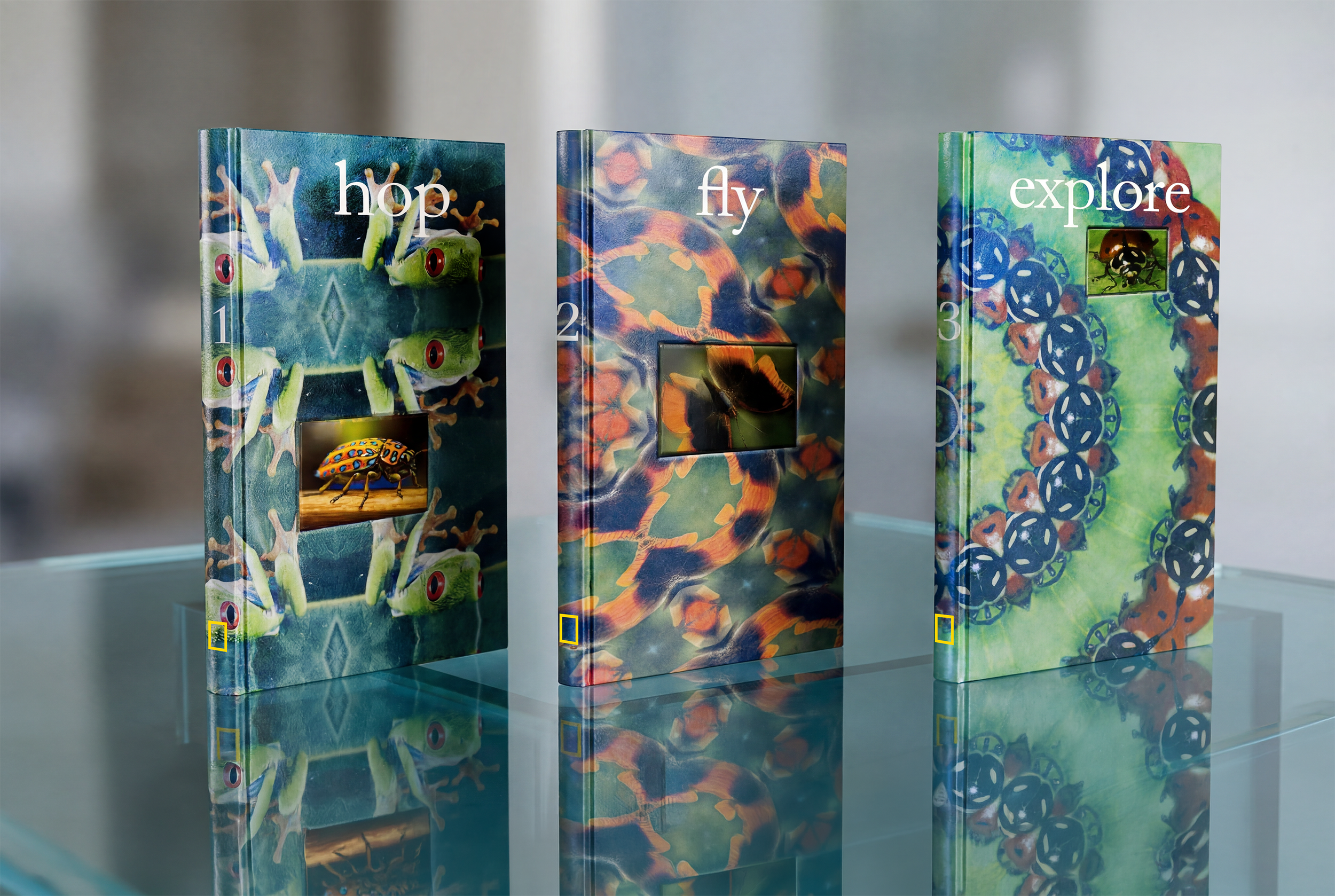 A field‑style notebook featuring three kaleidoscopic pattern studies derived from rainforest insects and amphibians, each created by refracting wings, legs, and surface markings into symmetrical compositions. An inset panel pairs the original archiva