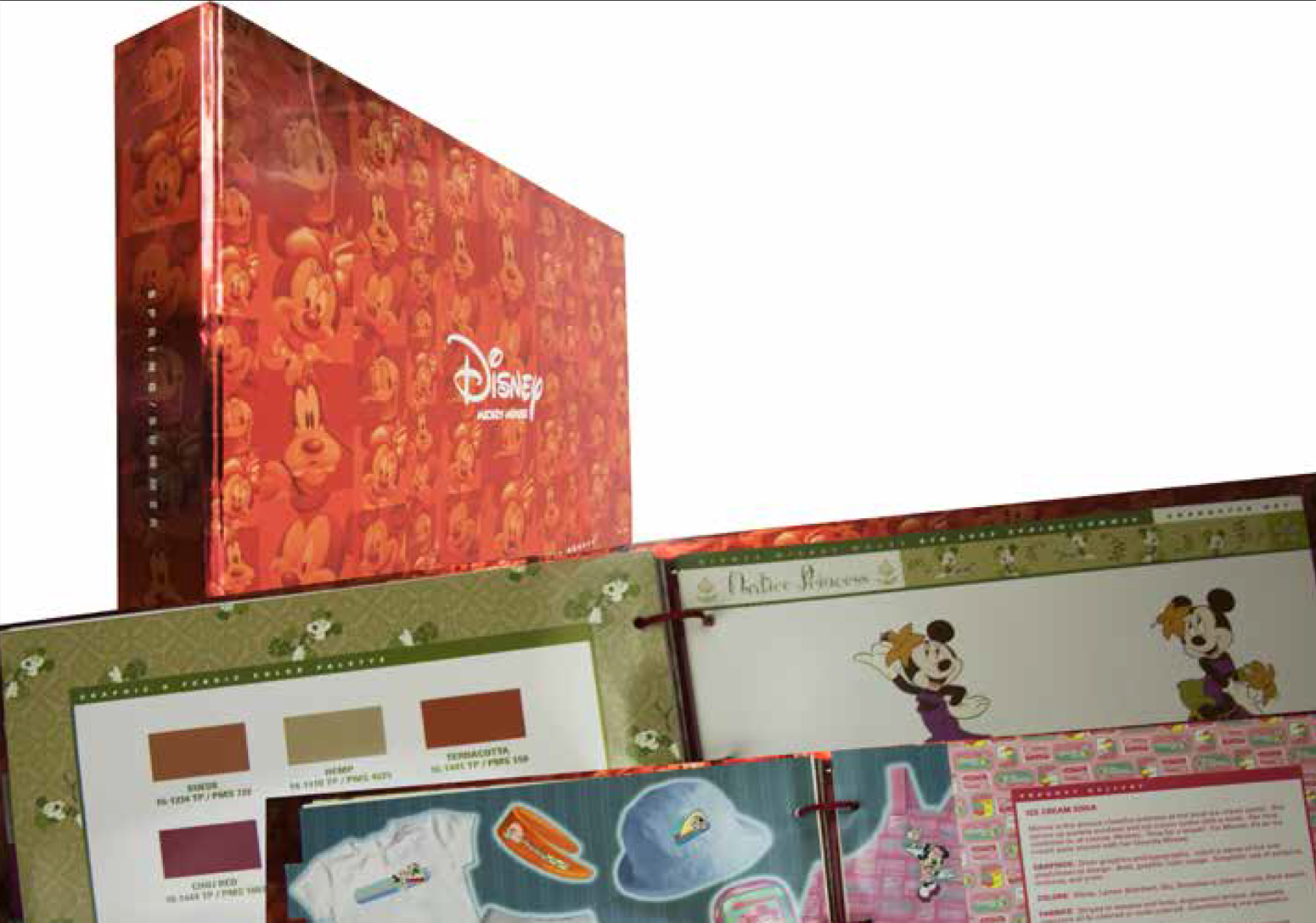 Mickey Style Guide.png