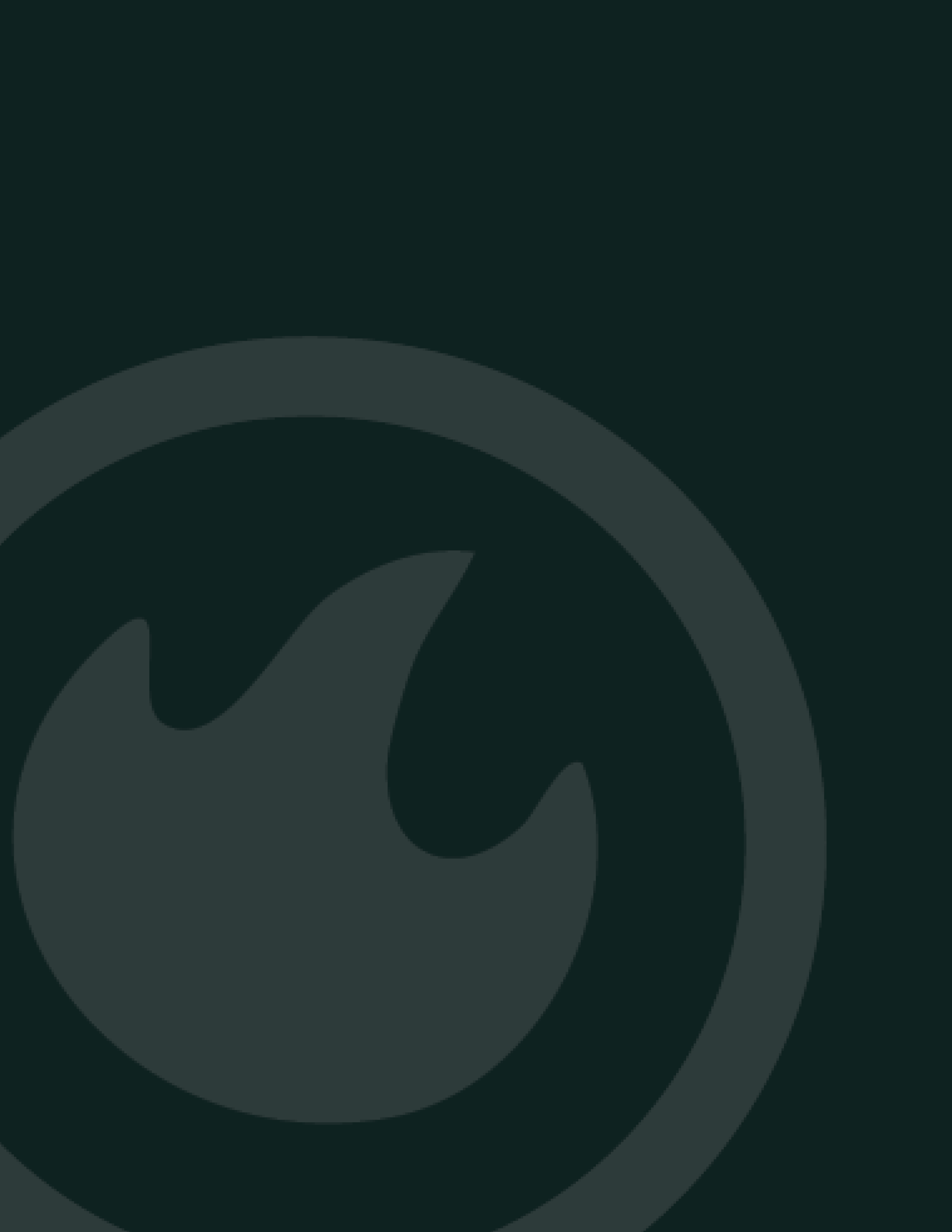 SmokeRise_Brand Guide_Revised41.png
