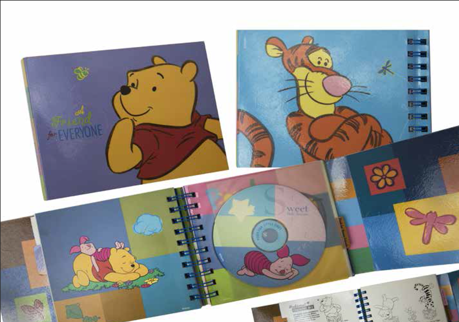 Disney Consumer Products & Theme Parks