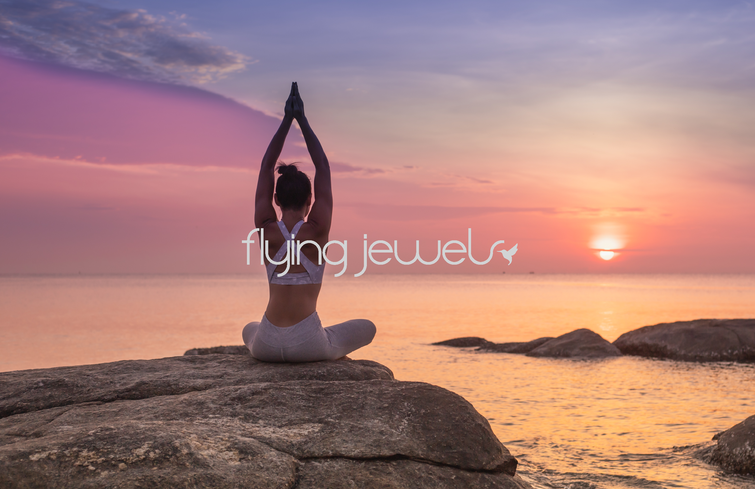 Flying Jewels Brand Style Guide21.png