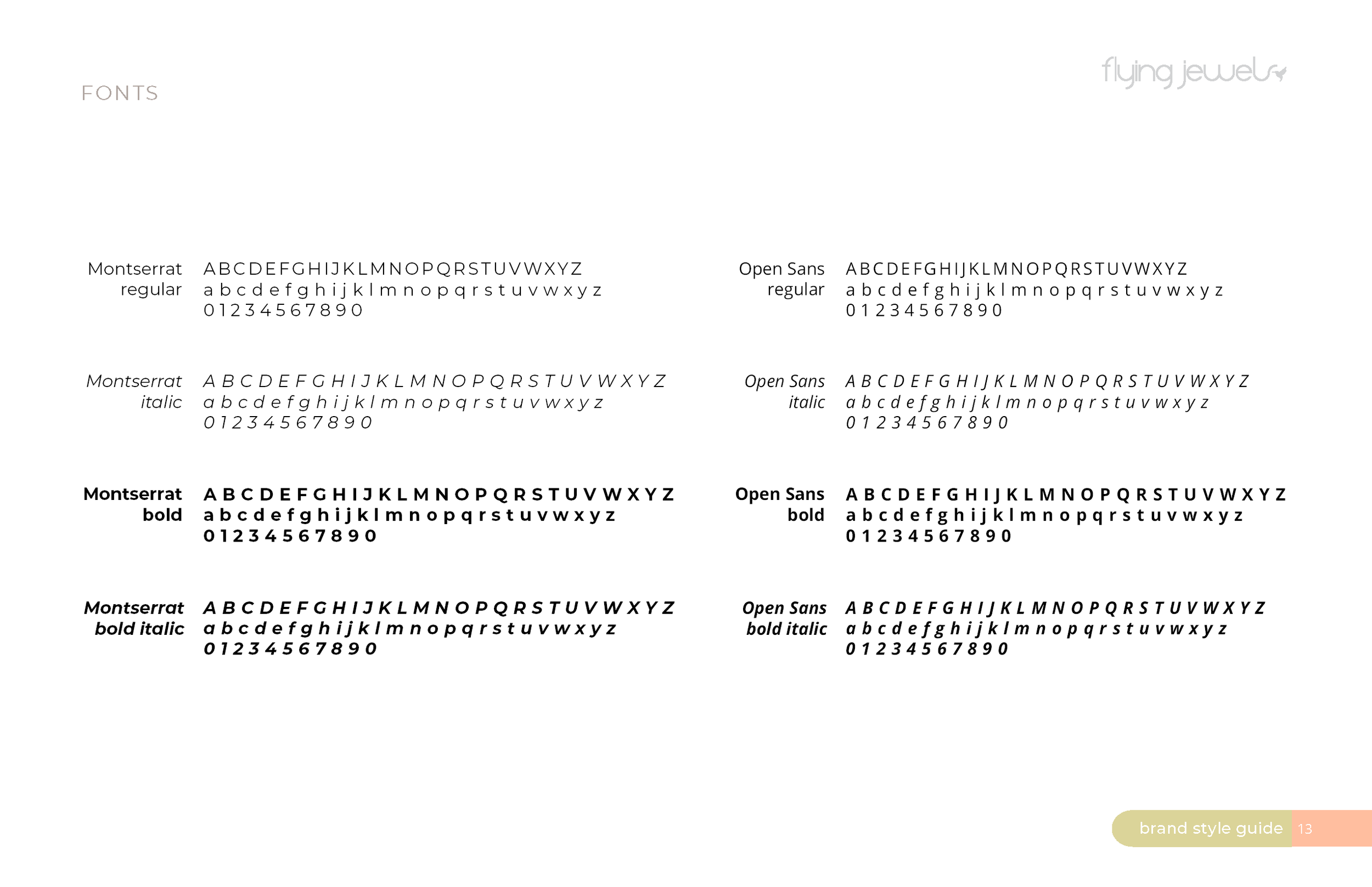 Flying Jewels Brand Style Guide16.png