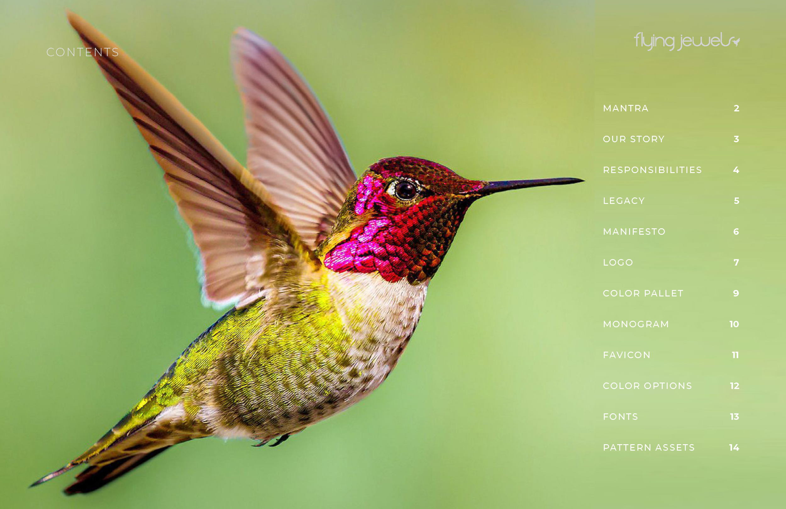 Flying Jewels Brand Style Guide3.png