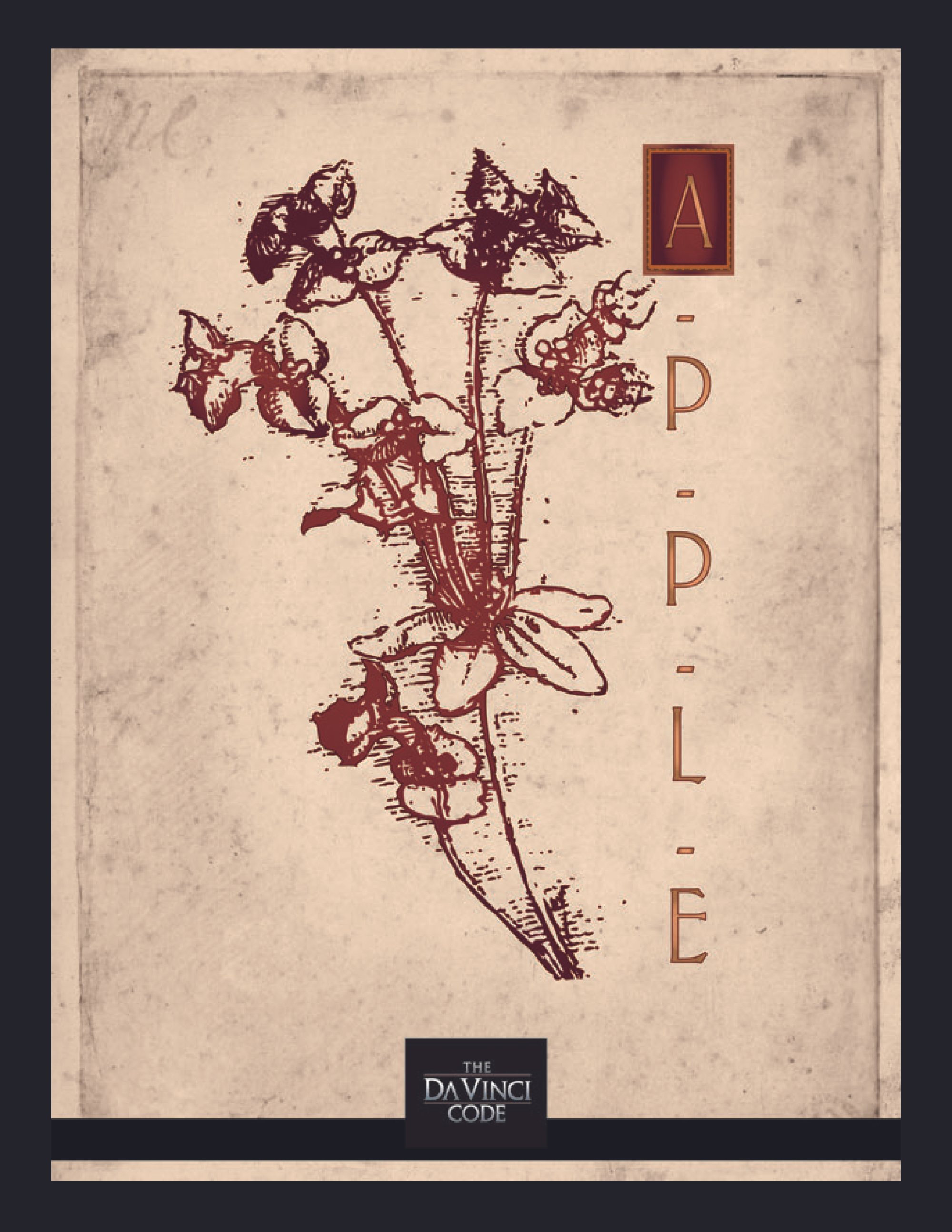 BCI TheDaVinciCodeStyle Guide-7.jpg