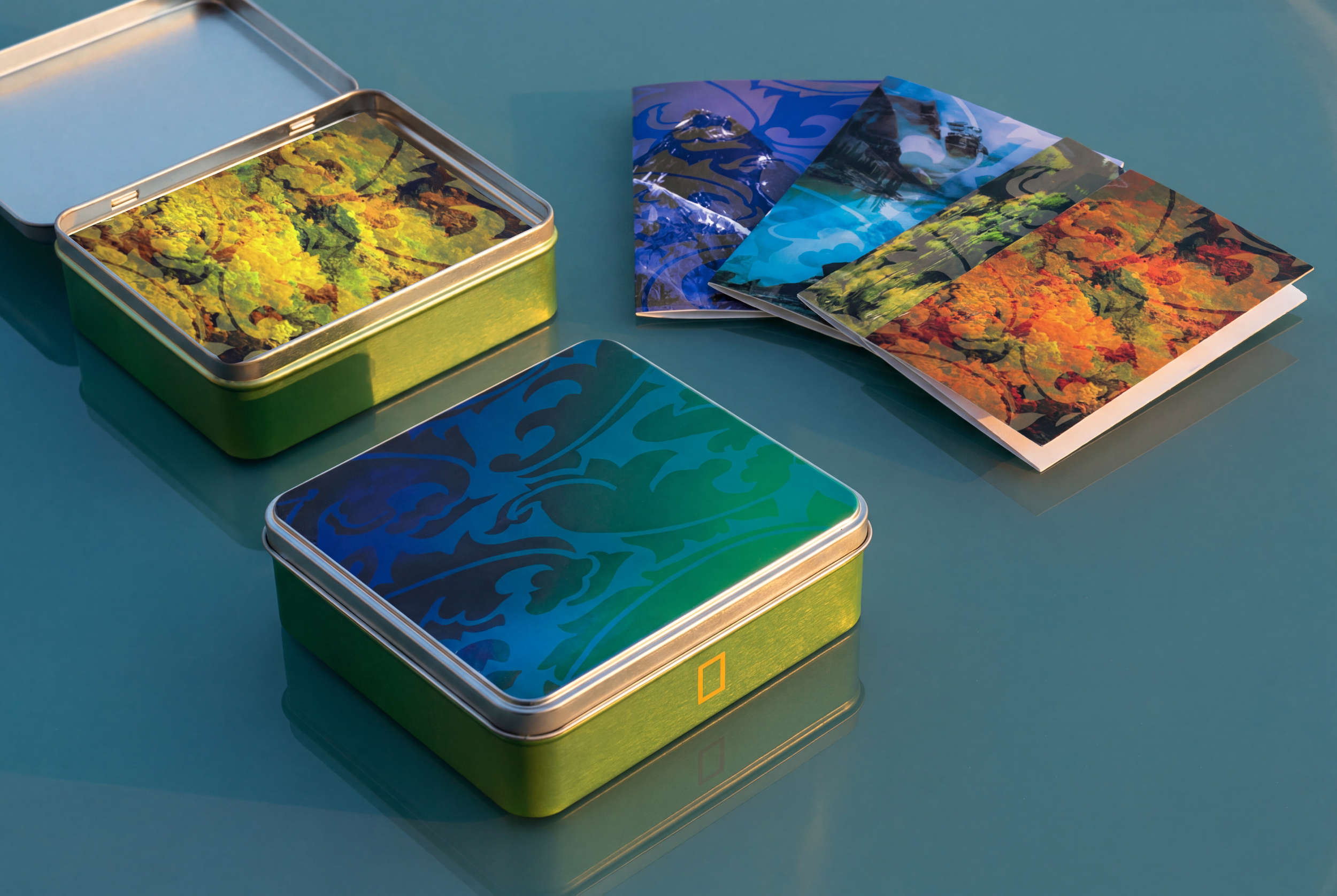 A printed tin box and coordinated card set featuring botanical imagery drawn from the National Geographic photographic archive. The collection highlights natural forms and specimen‑like compositions, with each card and envelope functioning as a small