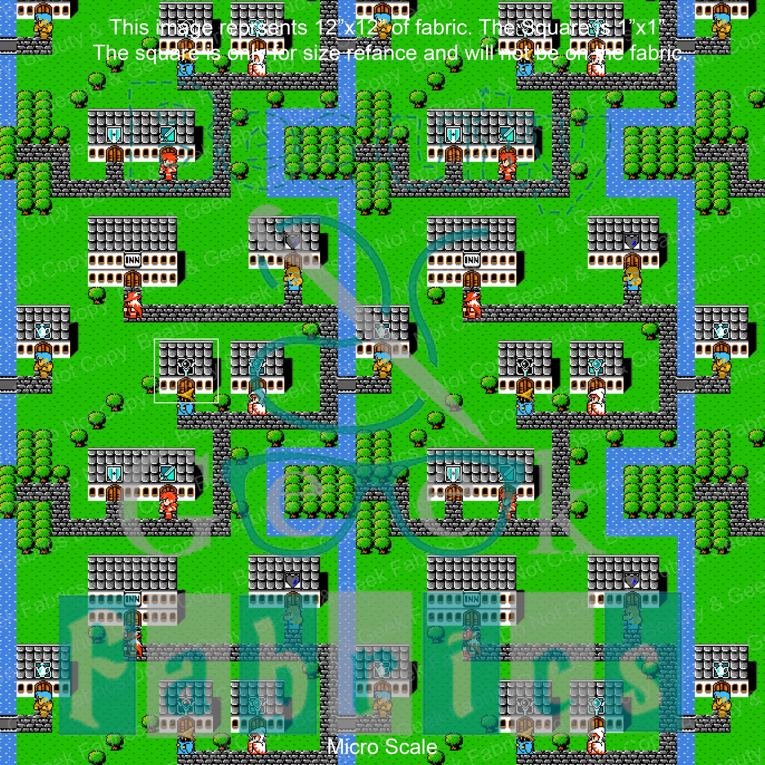 FF Micro.jpg