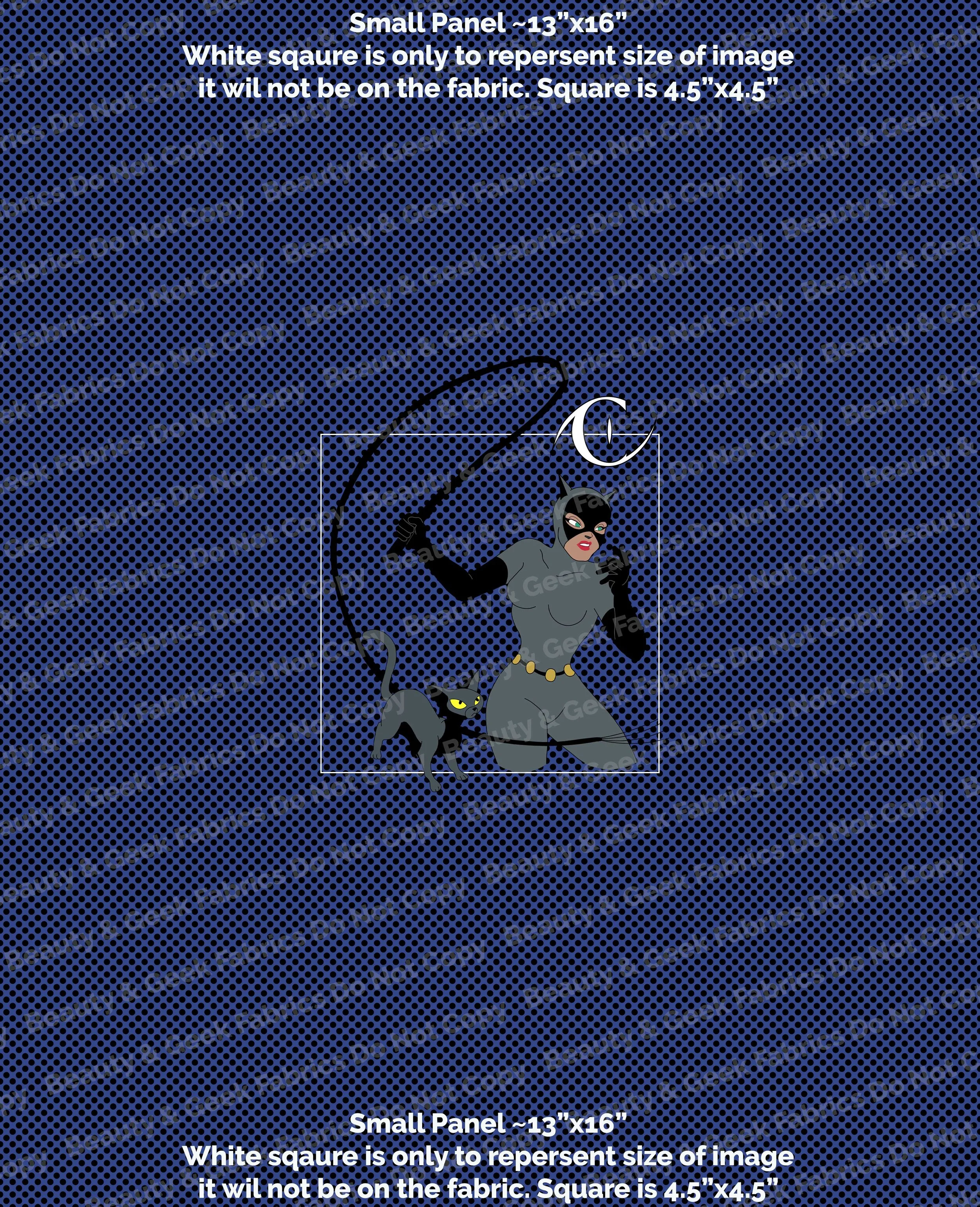 Catwoman Panel Small WEB.jpg