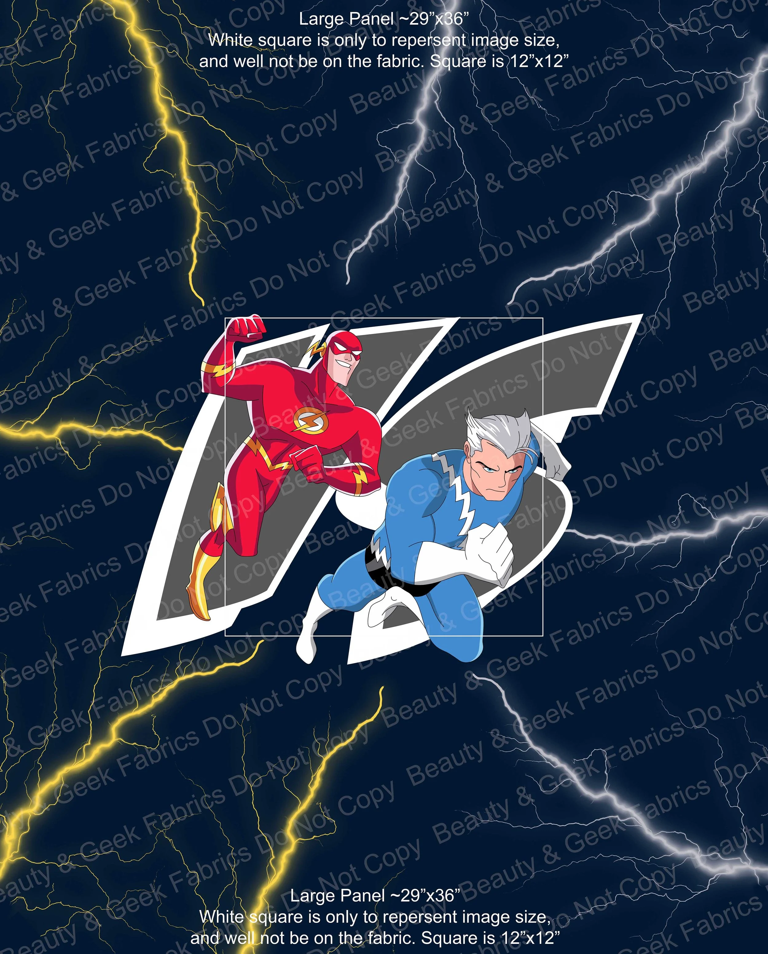 Flash VS Qick Panel Large WEB.jpg