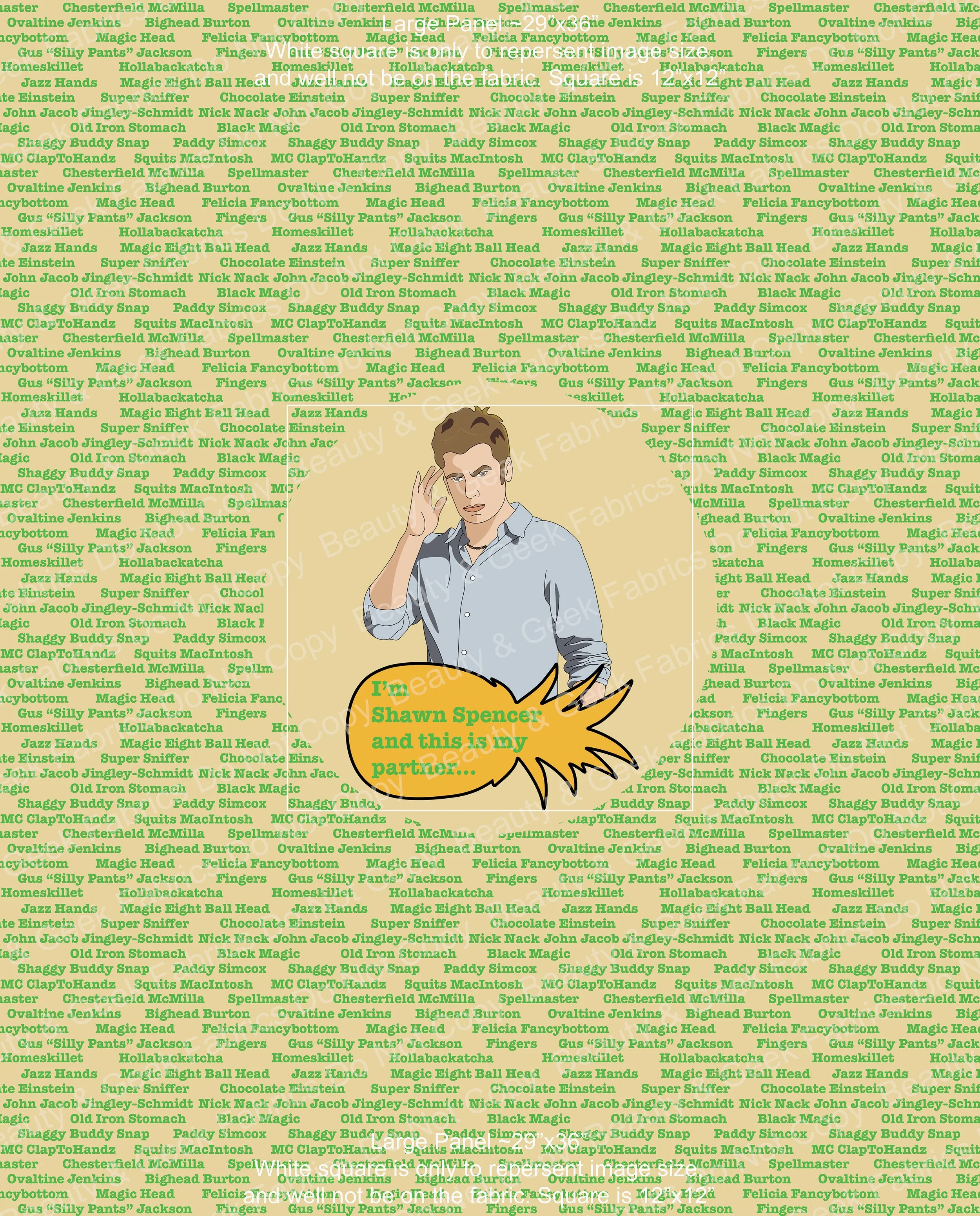 Shawn Panel Large WEB.jpg