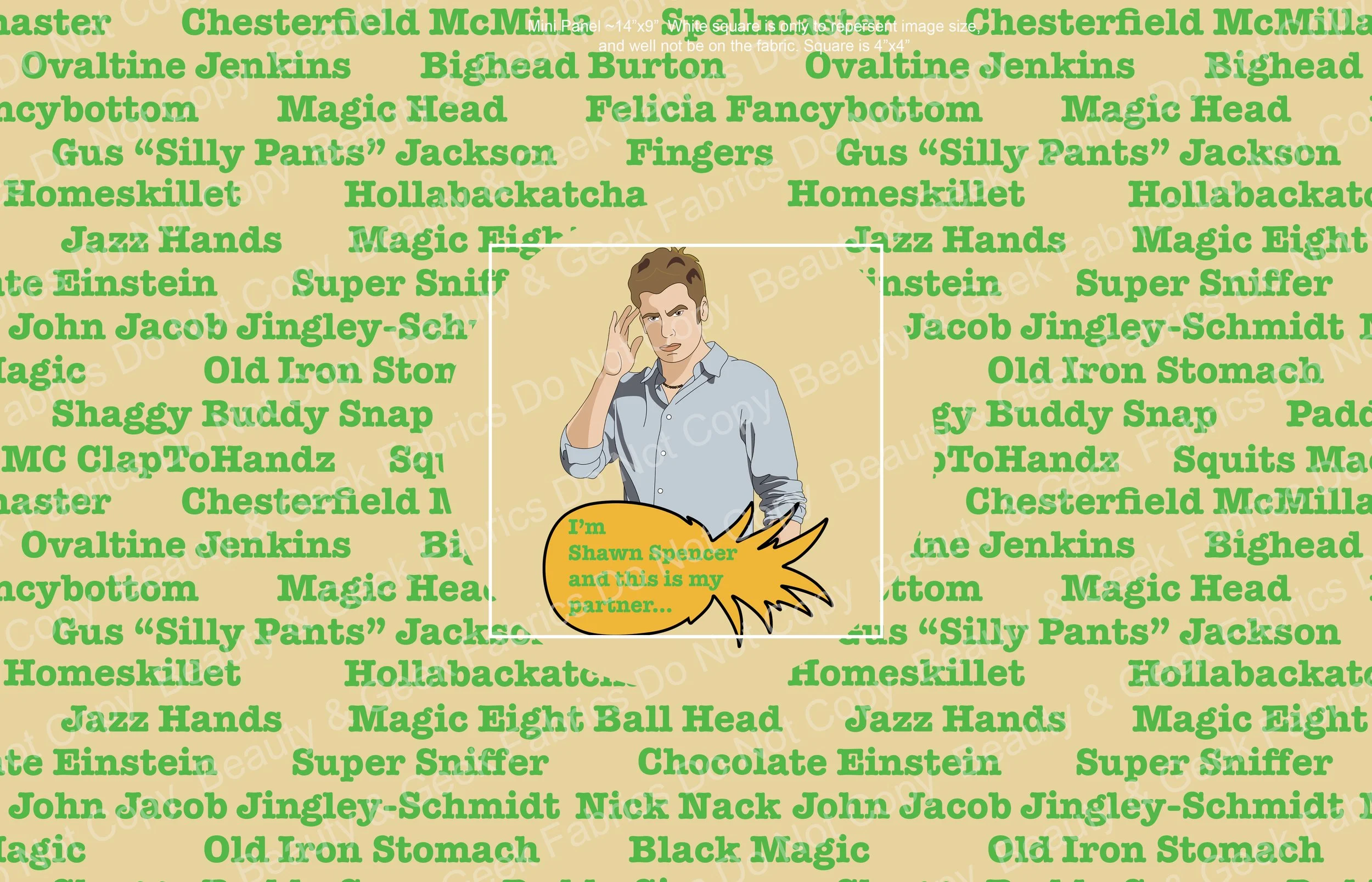 Shawn Panel Mini WEB.jpg