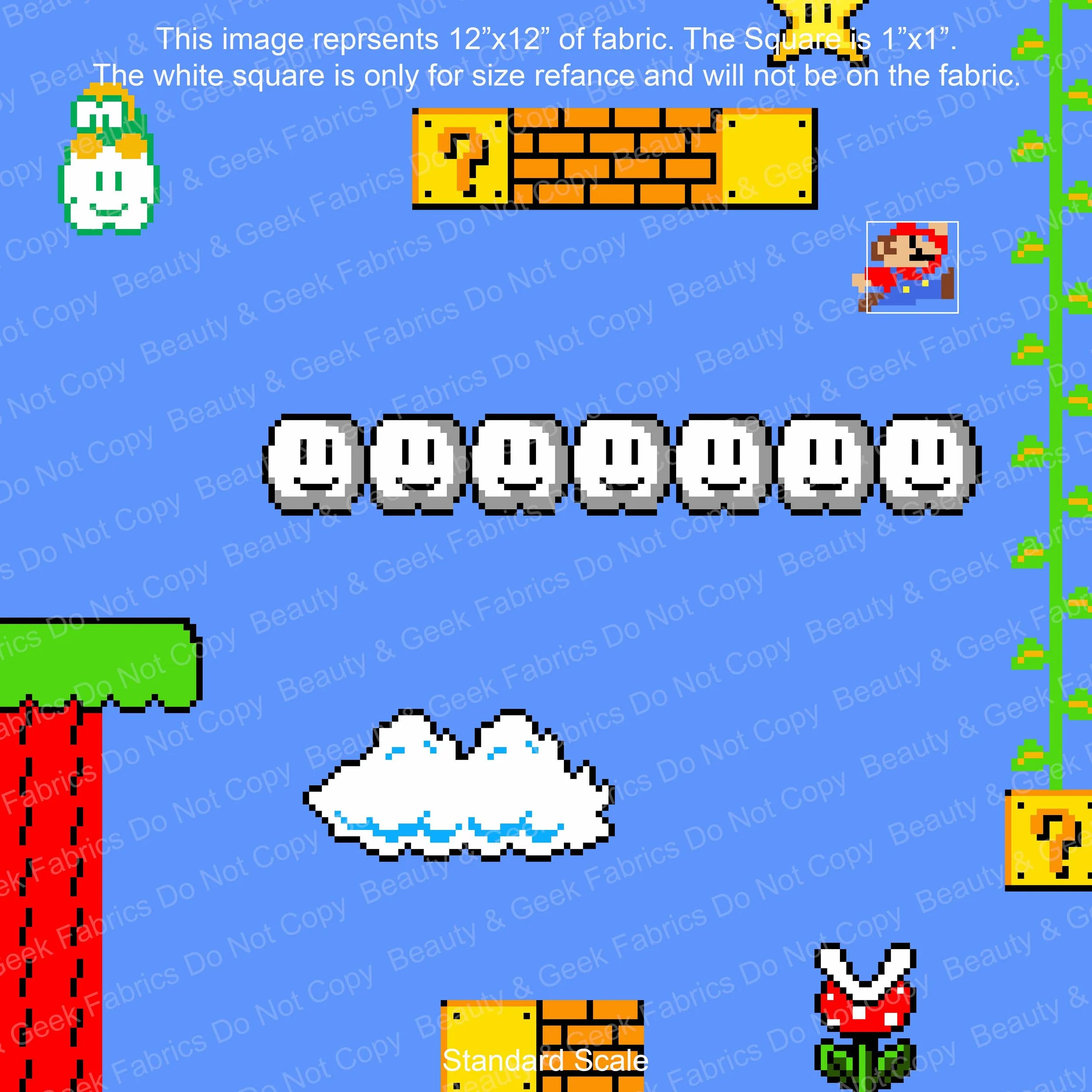 Mario WEB Standard.jpg