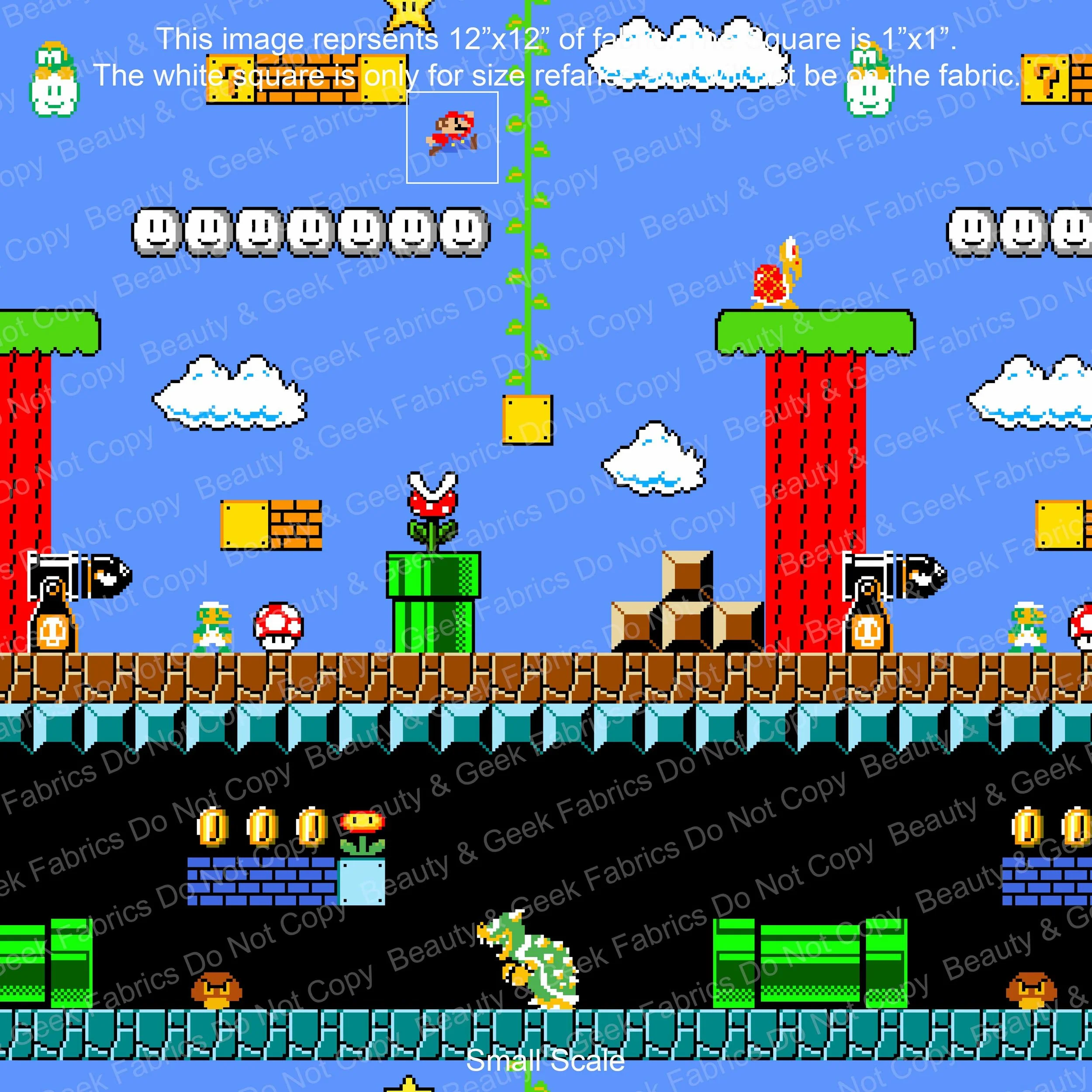 Super Bros Past Print Preorder