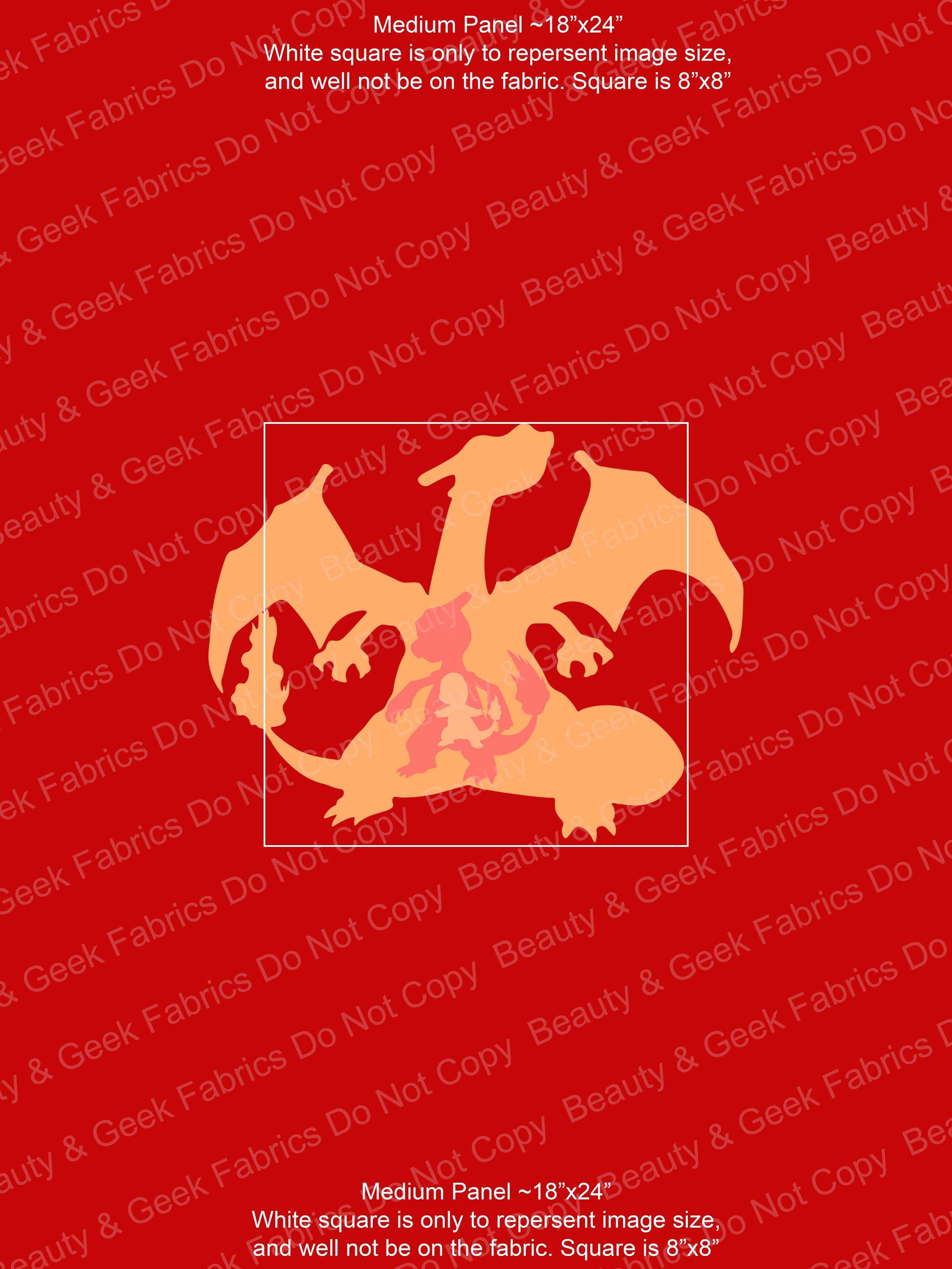 Charmander Medium Panel WEB.jpg