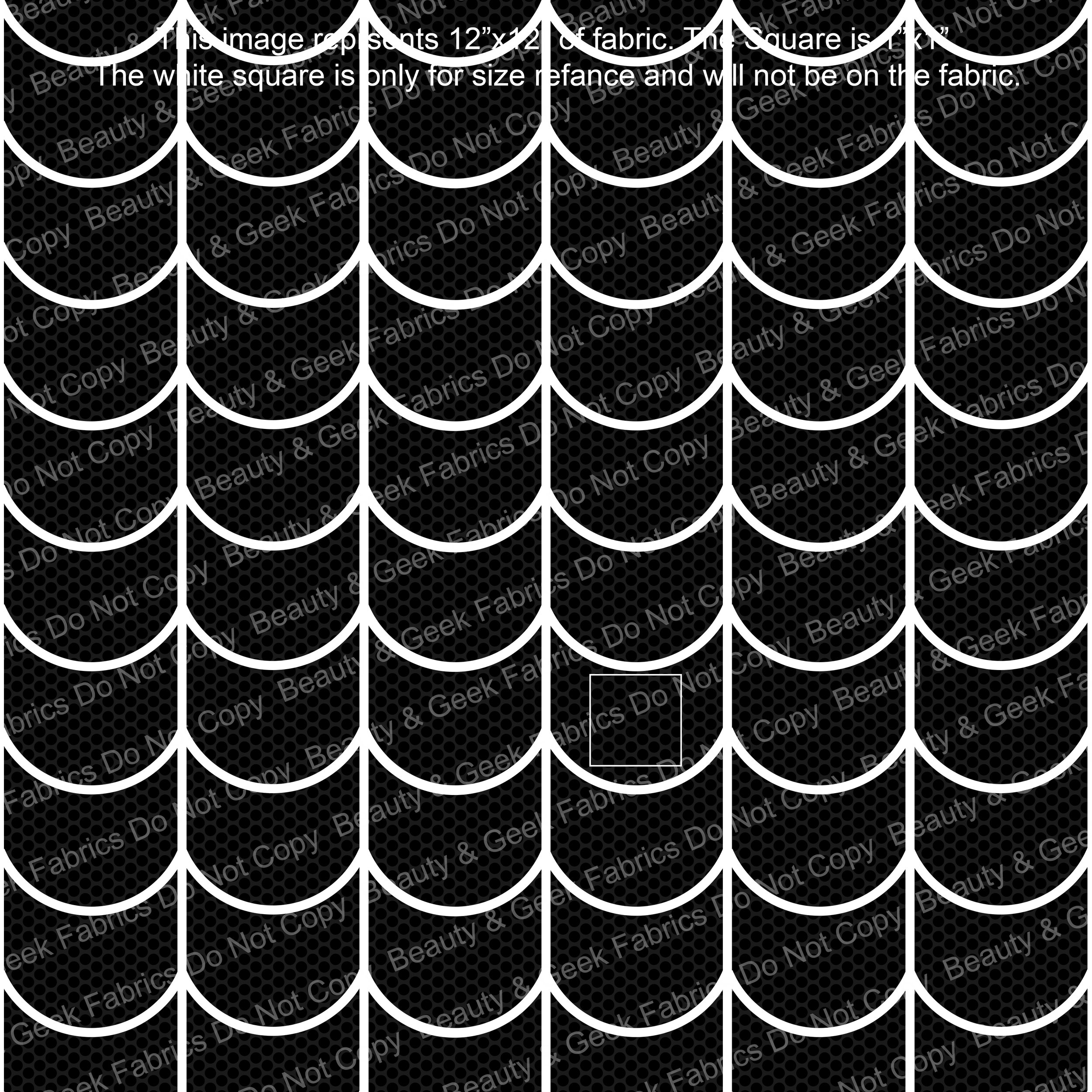 Black & White Webs.jpg