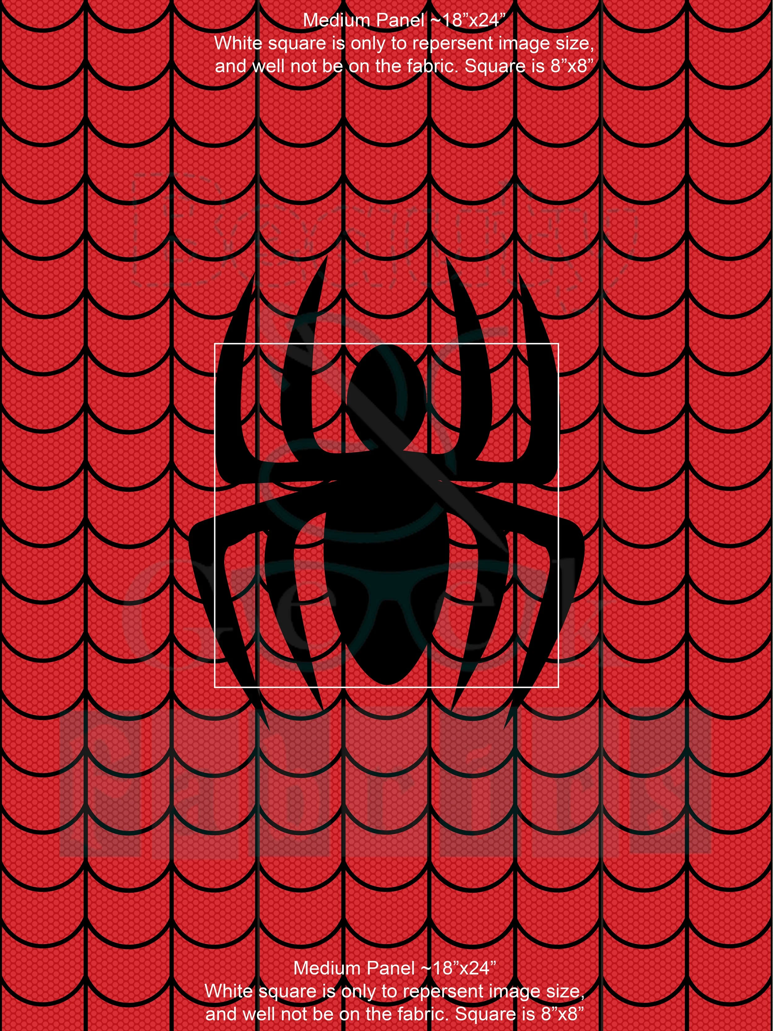 Spidy Logo Panel Medium.jpg