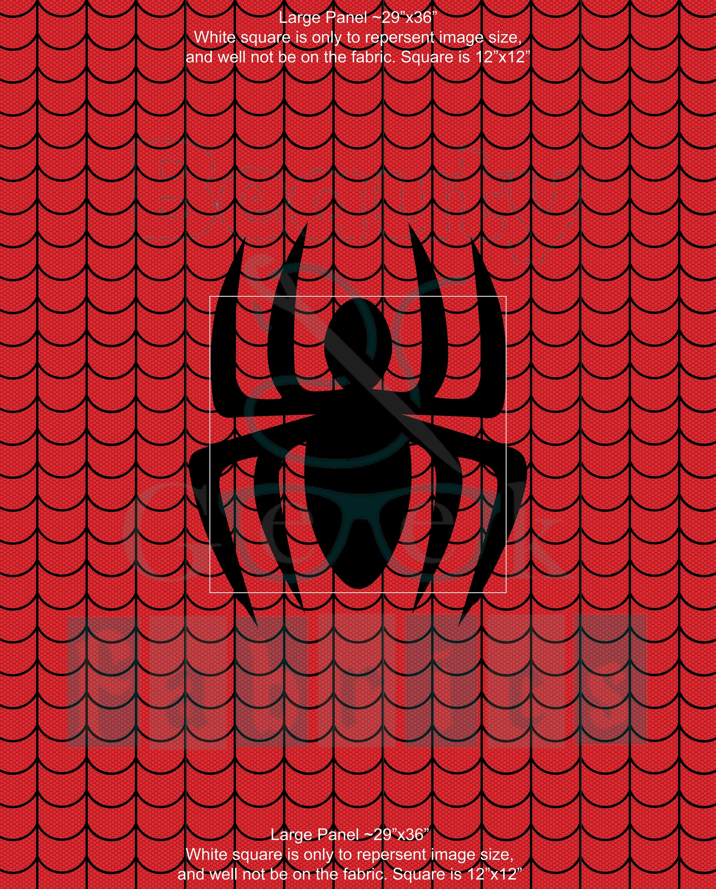 Spidy Logo Panel Large.jpg
