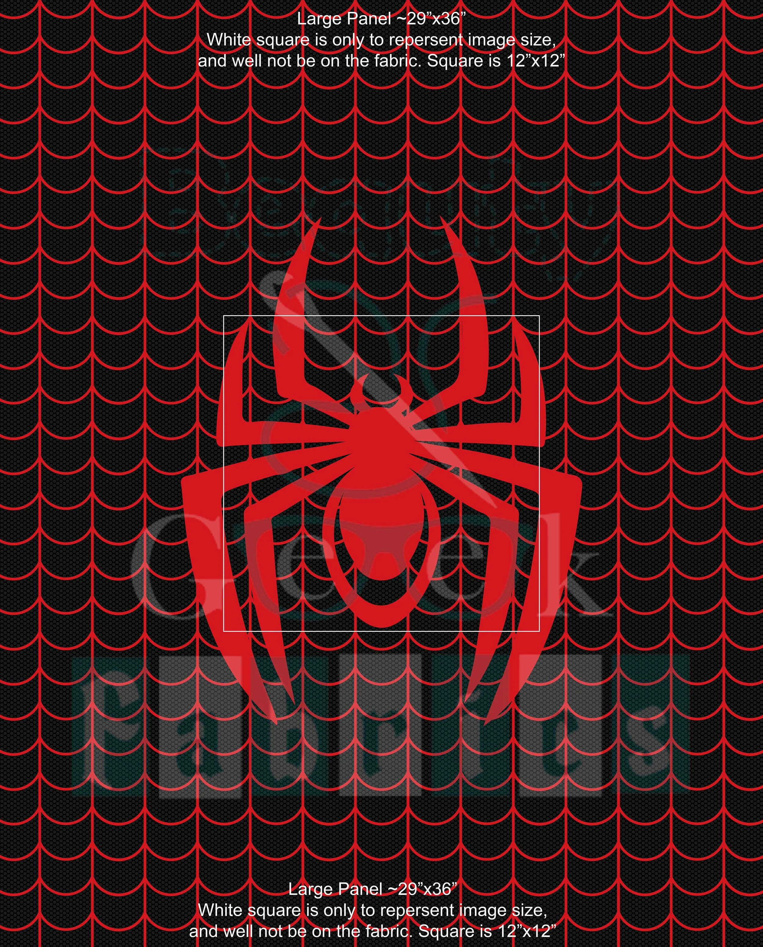 Spin Logo Panel Large .jpg