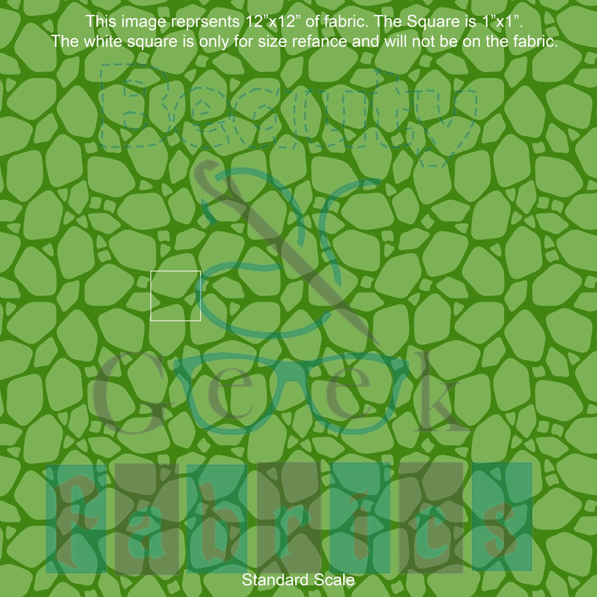 Turtle Shell Past Print Preorder